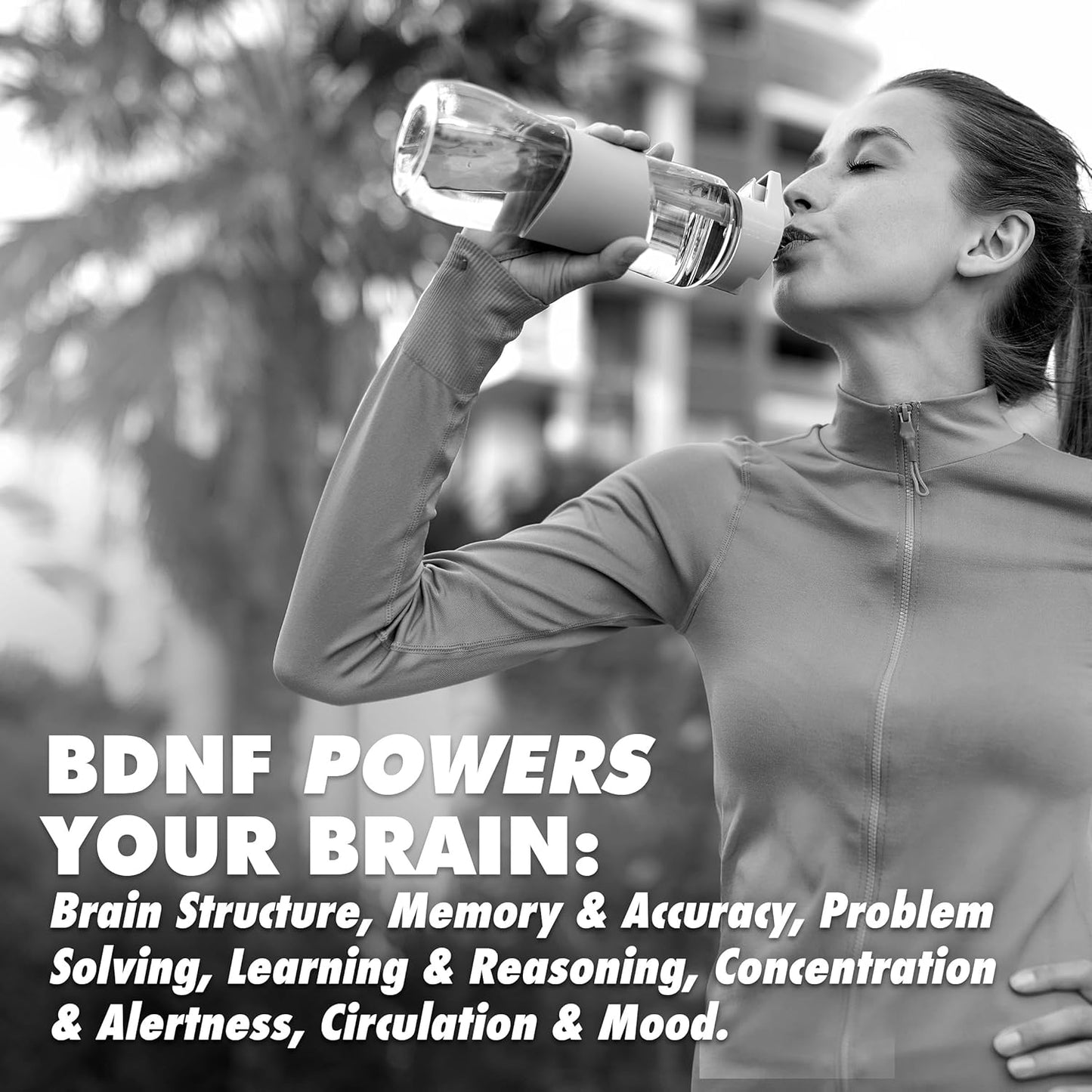 AminoMind Nootropic Collagen Supplement for Brain Health with Pro-Hyp & Hyp-Gly Dipeptides, Coffeeberry Antioxidants - 14 Fl Oz