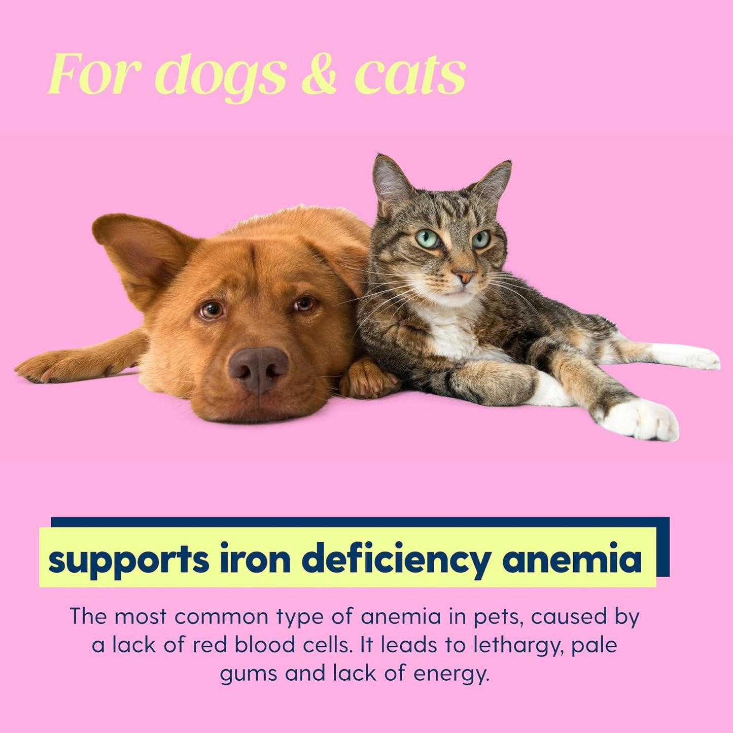 AminoPets Liquid Iron Supplement for Dogs and Cats - Supports Anemia and Low Energy - Made in USA