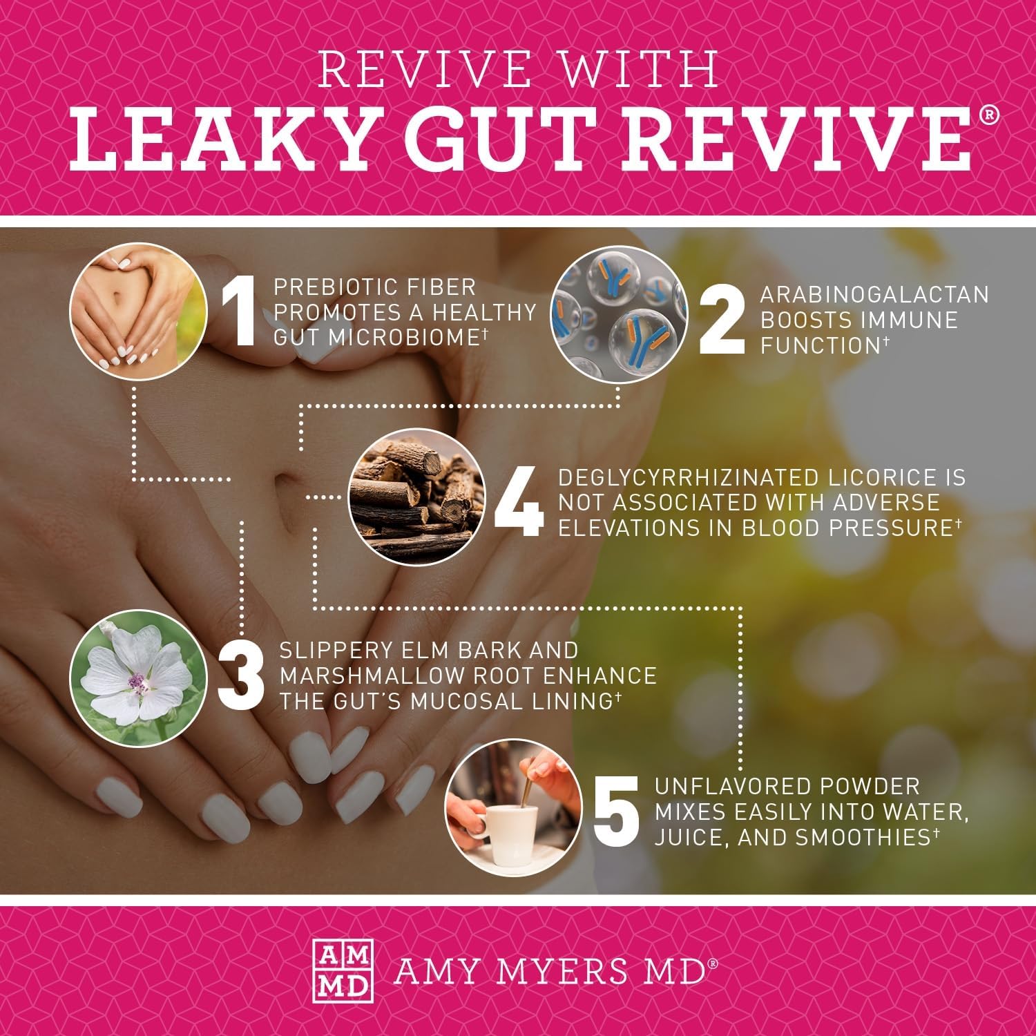 Amy Myers MD Leaky Gut Revive Powder with L Glutamine and Slippery Elm - Supports Gut Repair and Digestive Health - 6.30 Oz Unflavoured Formula for Constipation, Diarrhea, Bloating, Heartburn, and SIBO