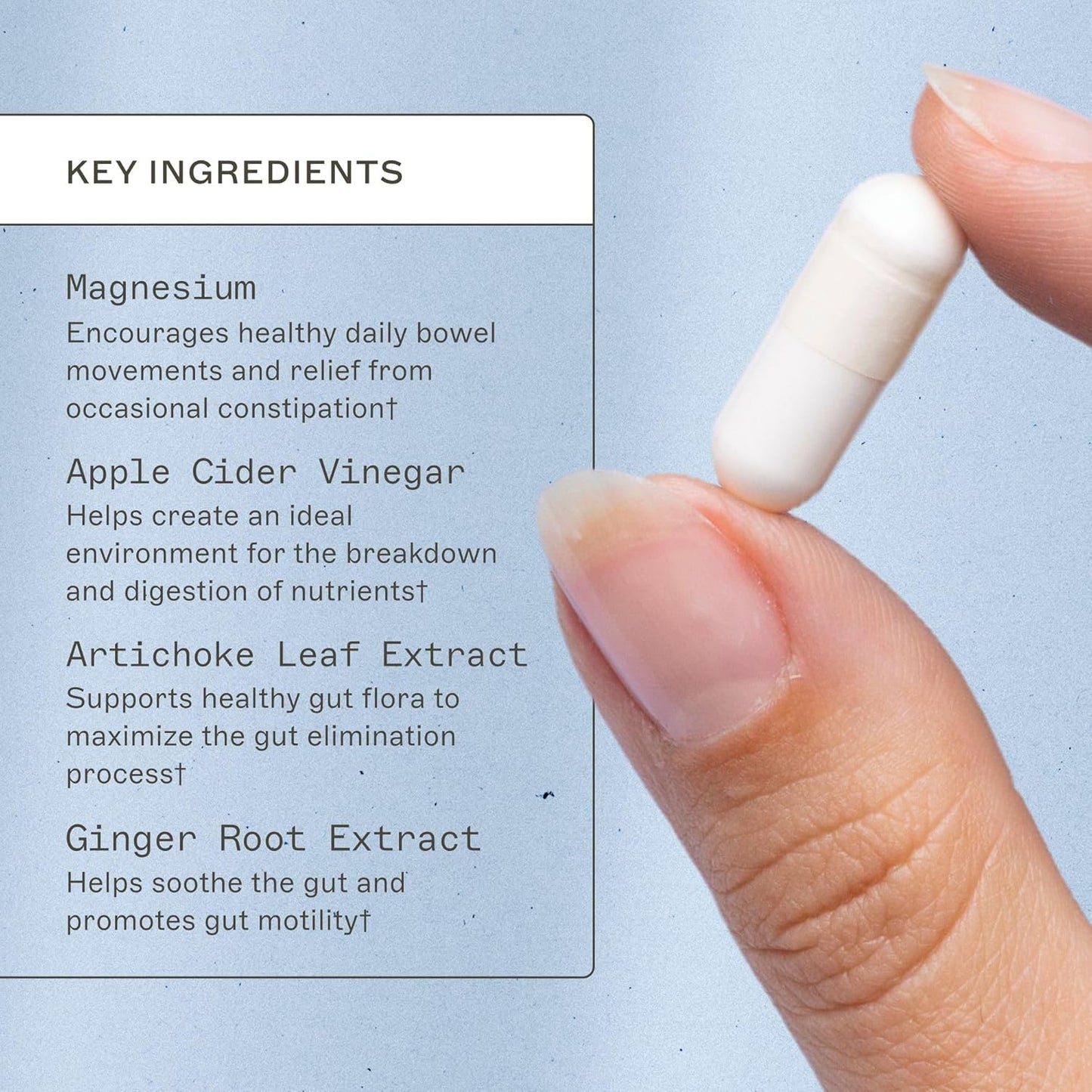 Amy Myers MD MagMove: Natural Digestive Support Supplement