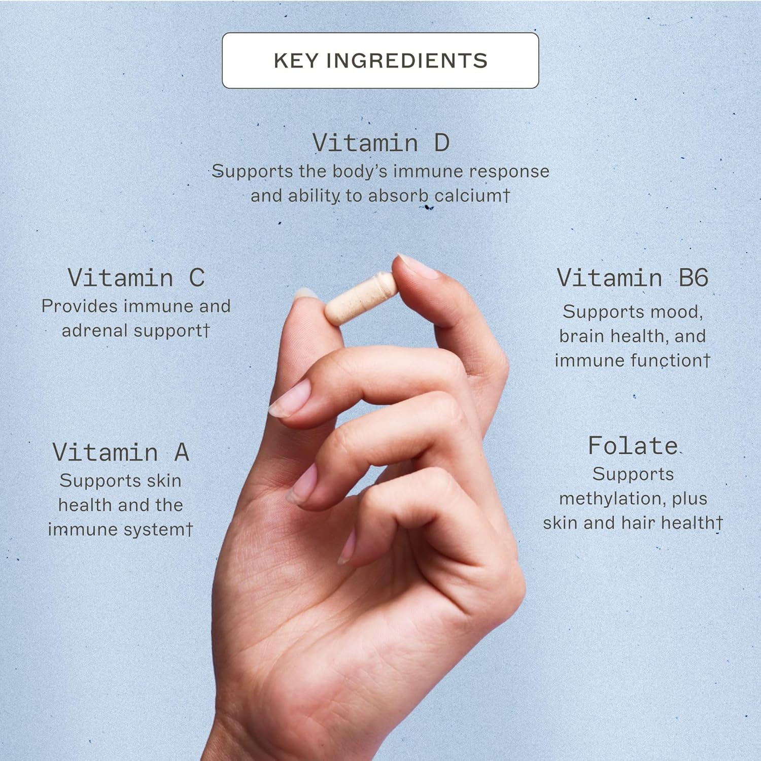 Amy Myers MD Multivitamin for Women and Men - Immune & Thyroid Support, Stress Relief - Activated B Vitamins, Zinc, Selenium, Iodine - Energy Boost - 180 Capsules