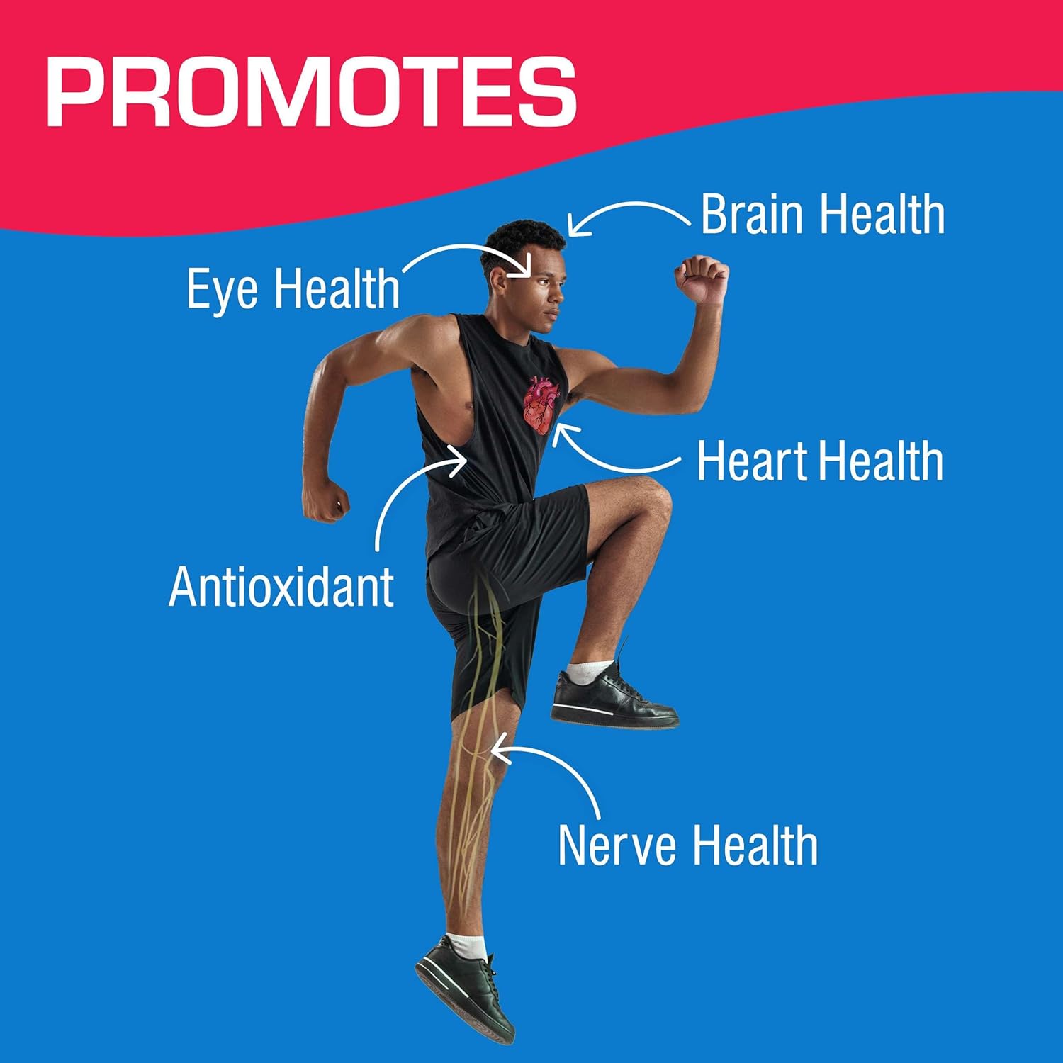 Anabolic Laboratories Daily Multivitamin Softgels for Men and Women - 120 Daily Multi Vitamin and Minerals Supplement for Overall Health