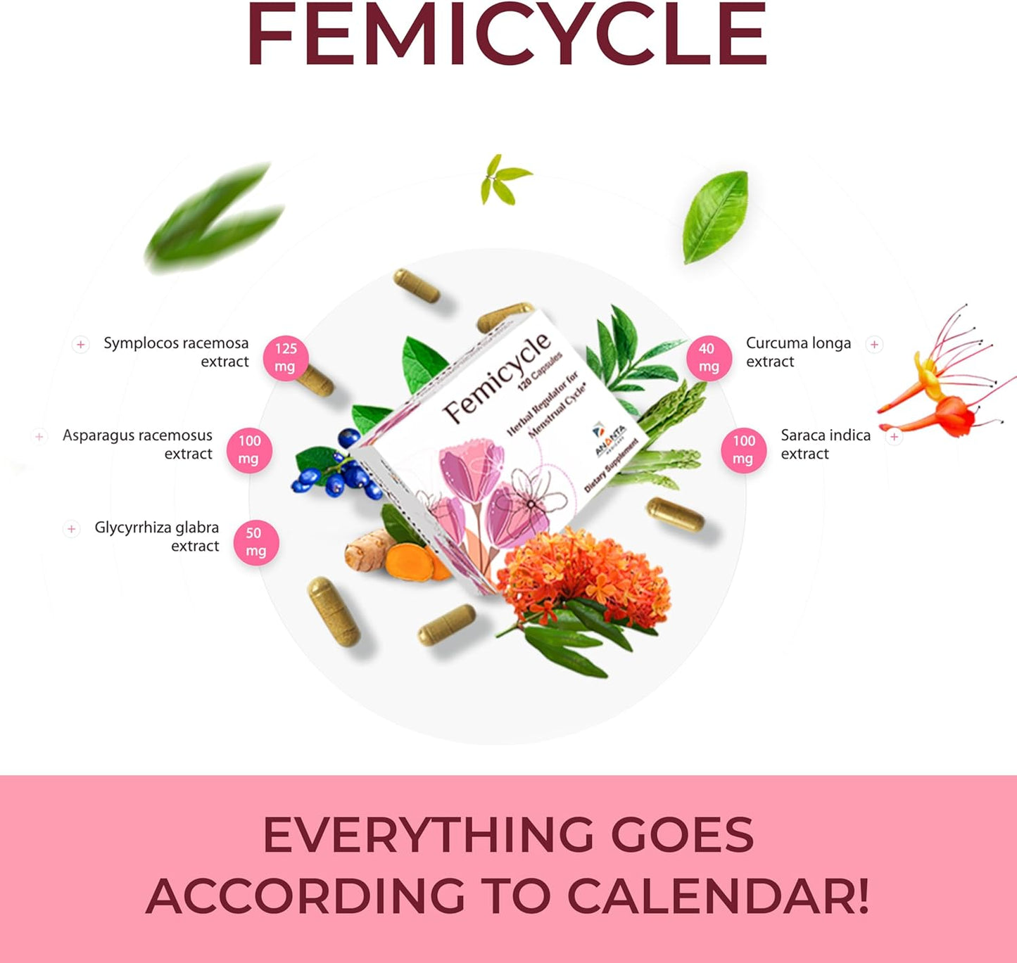 Ananta Medicare Femicycle Herbal Menstrual Cycle Regulator - 120 Capsules