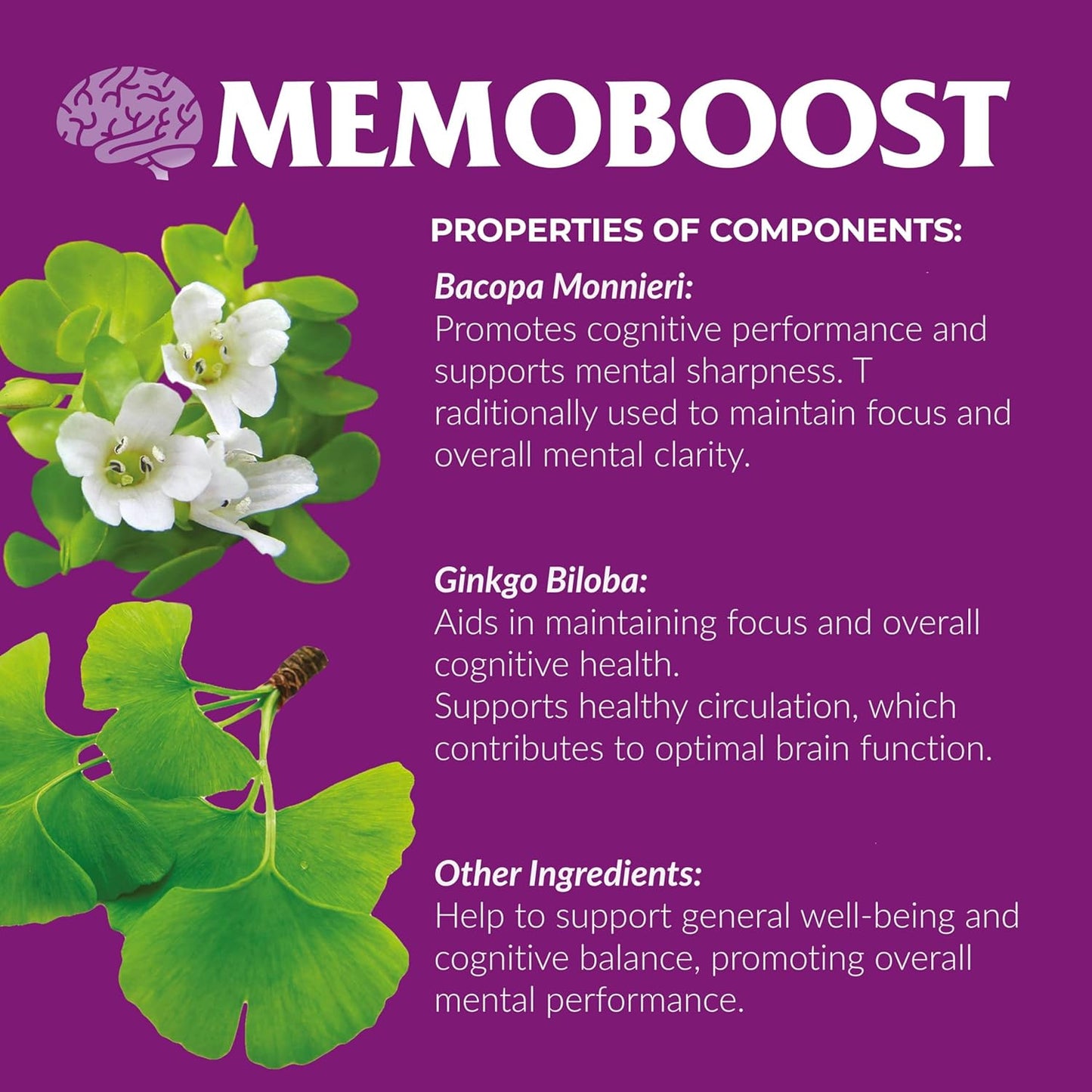 Ananta Medicare USA MEMOBOOST Herbal Supplement - 120 Capsules by Ananta Medicare Limited