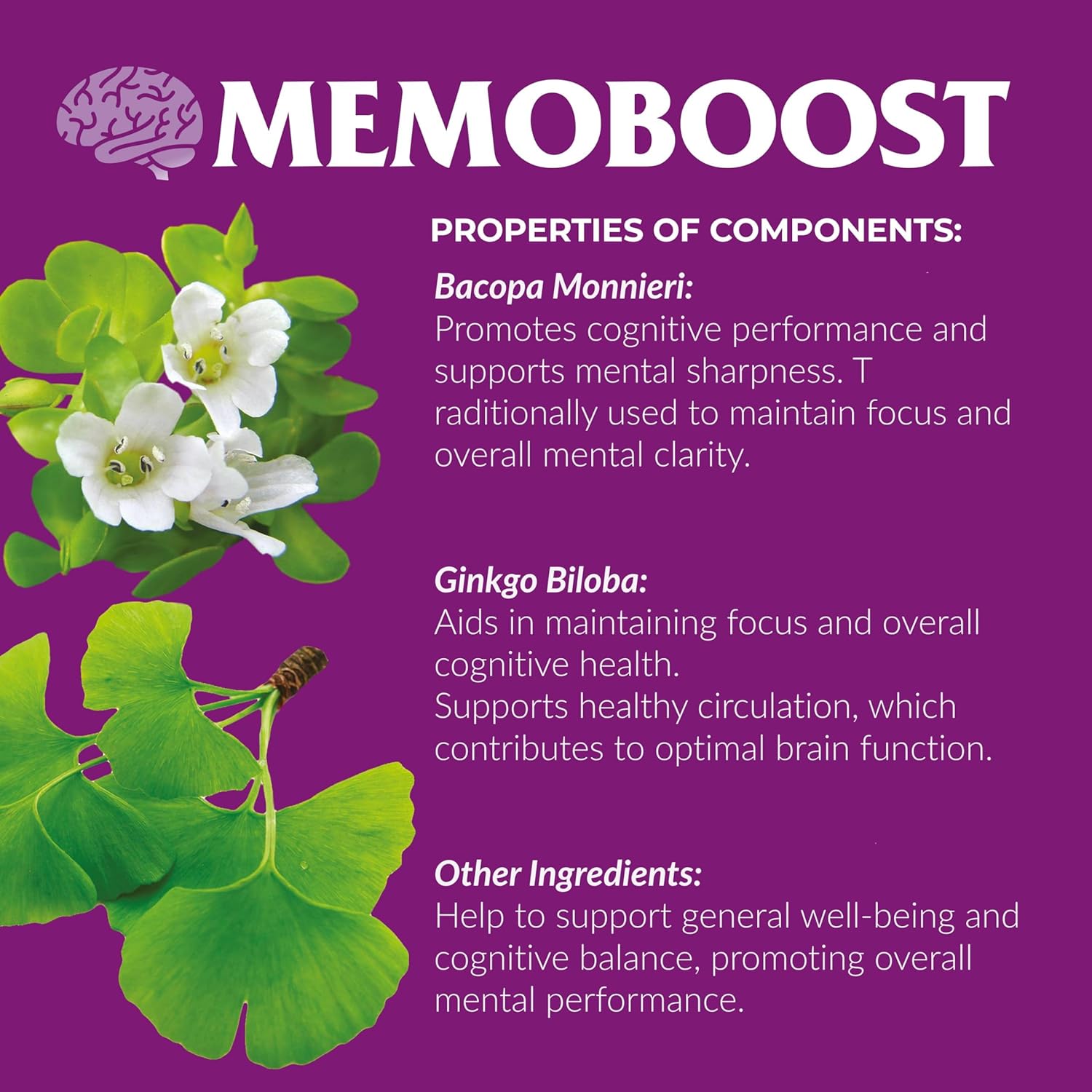 Ananta Medicare USA MEMOBOOST Herbal Supplement - 120 Capsules by Ananta Medicare Limited