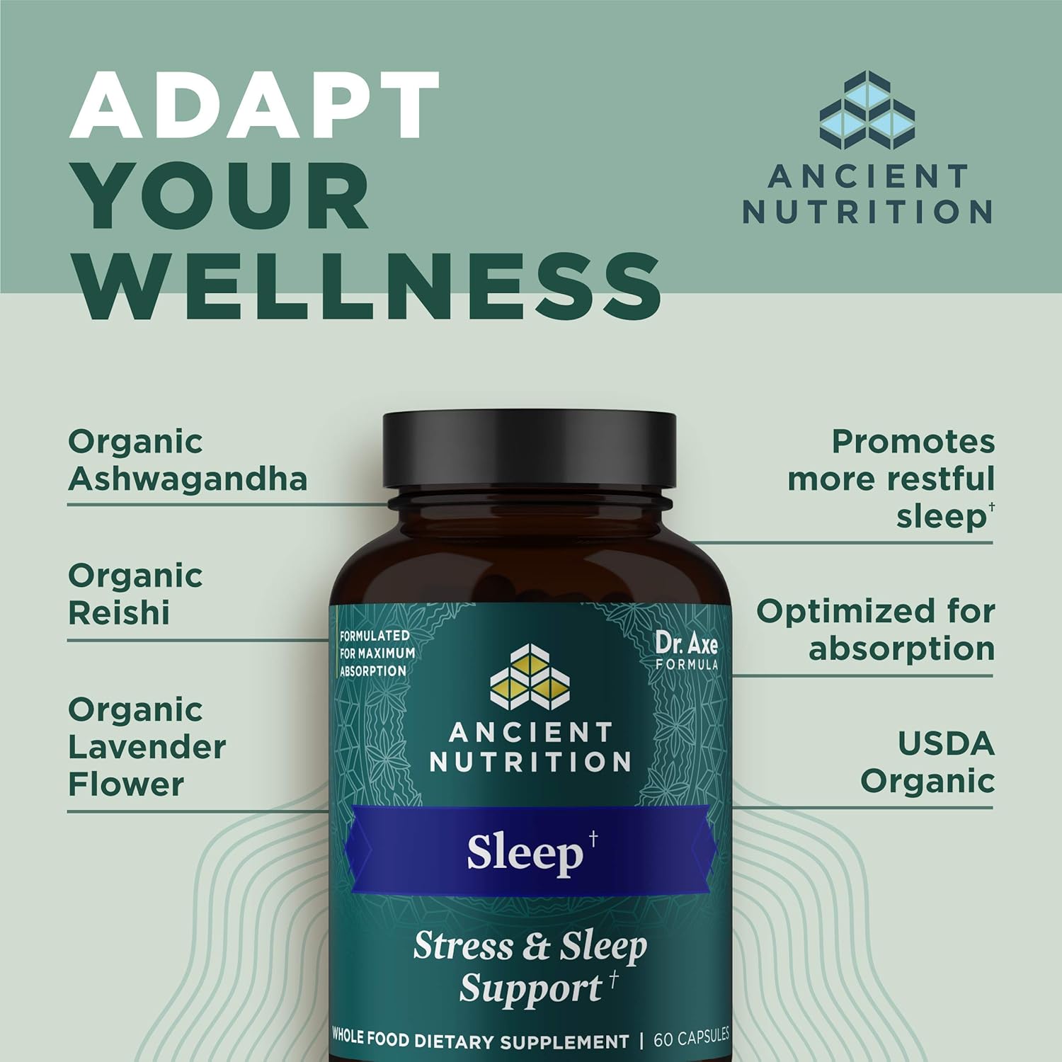 Ancient Nutrition Ashwagandha Capsules for Stress, Sleep Support, Mental Relaxation - Gluten Free, Paleo & Keto Friendly - 60ct