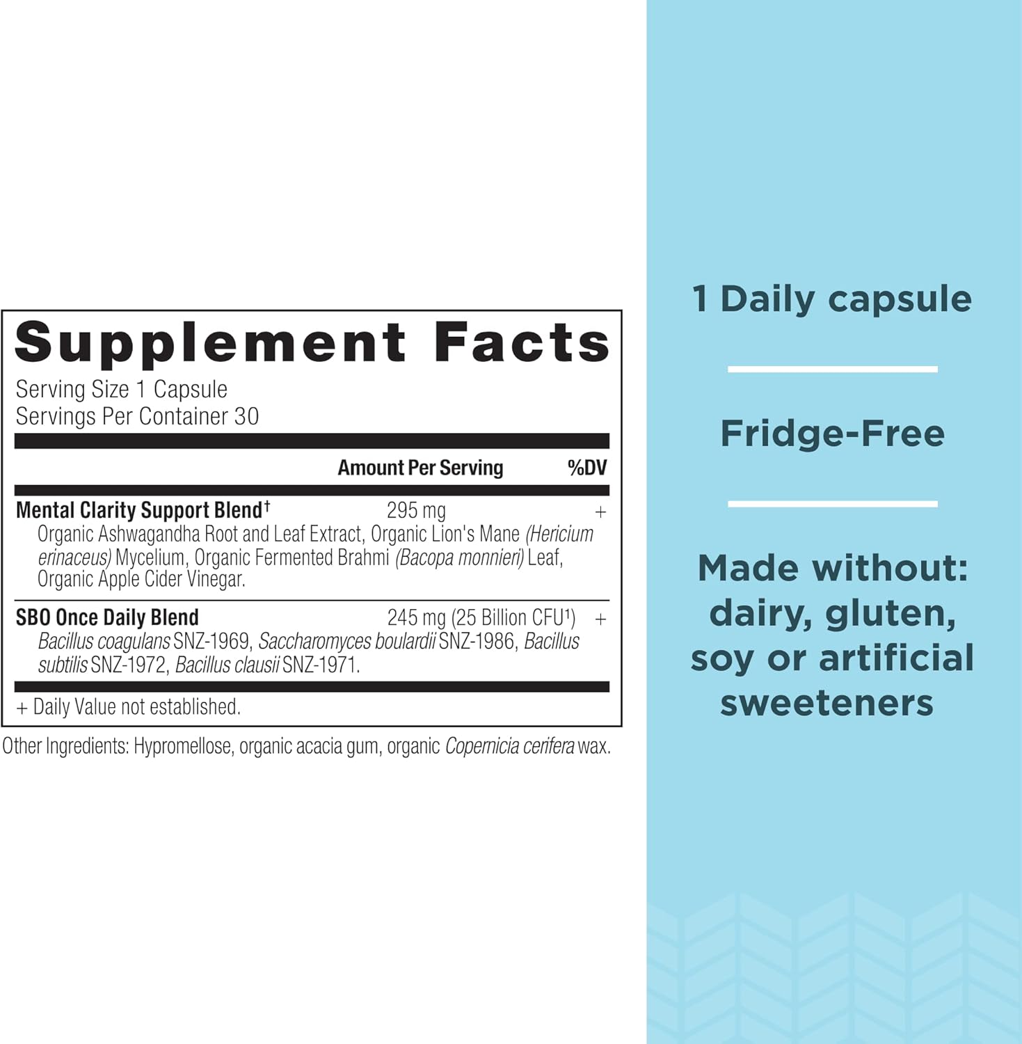 Ancient Nutrition Probiotics for Mental Clarity - 30 Count, 25 Billion CFUs, Supports Energy and Sleep