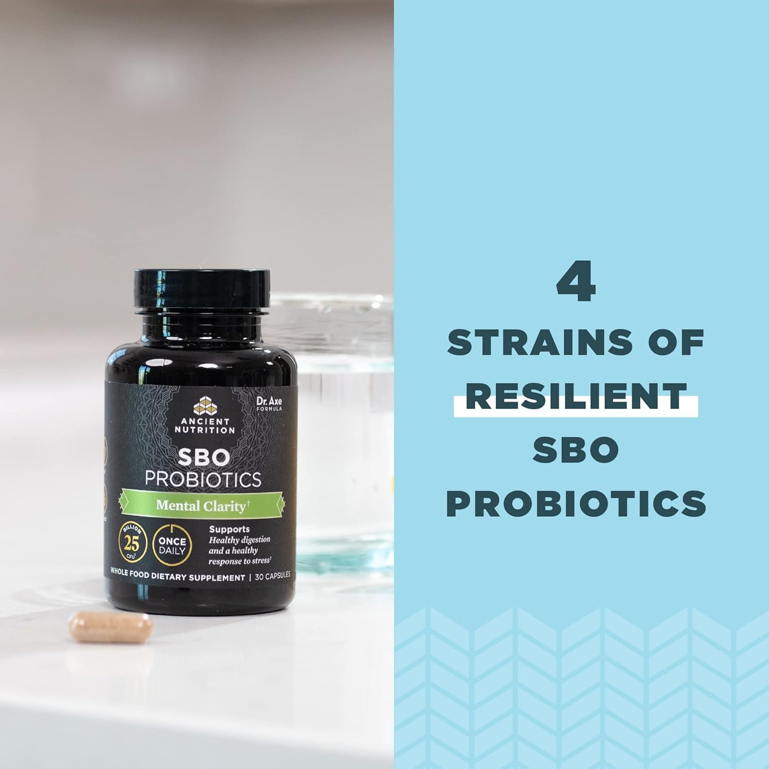 Ancient Nutrition Probiotics for Mental Clarity - 30 Count, 25 Billion CFUs, Supports Energy and Sleep