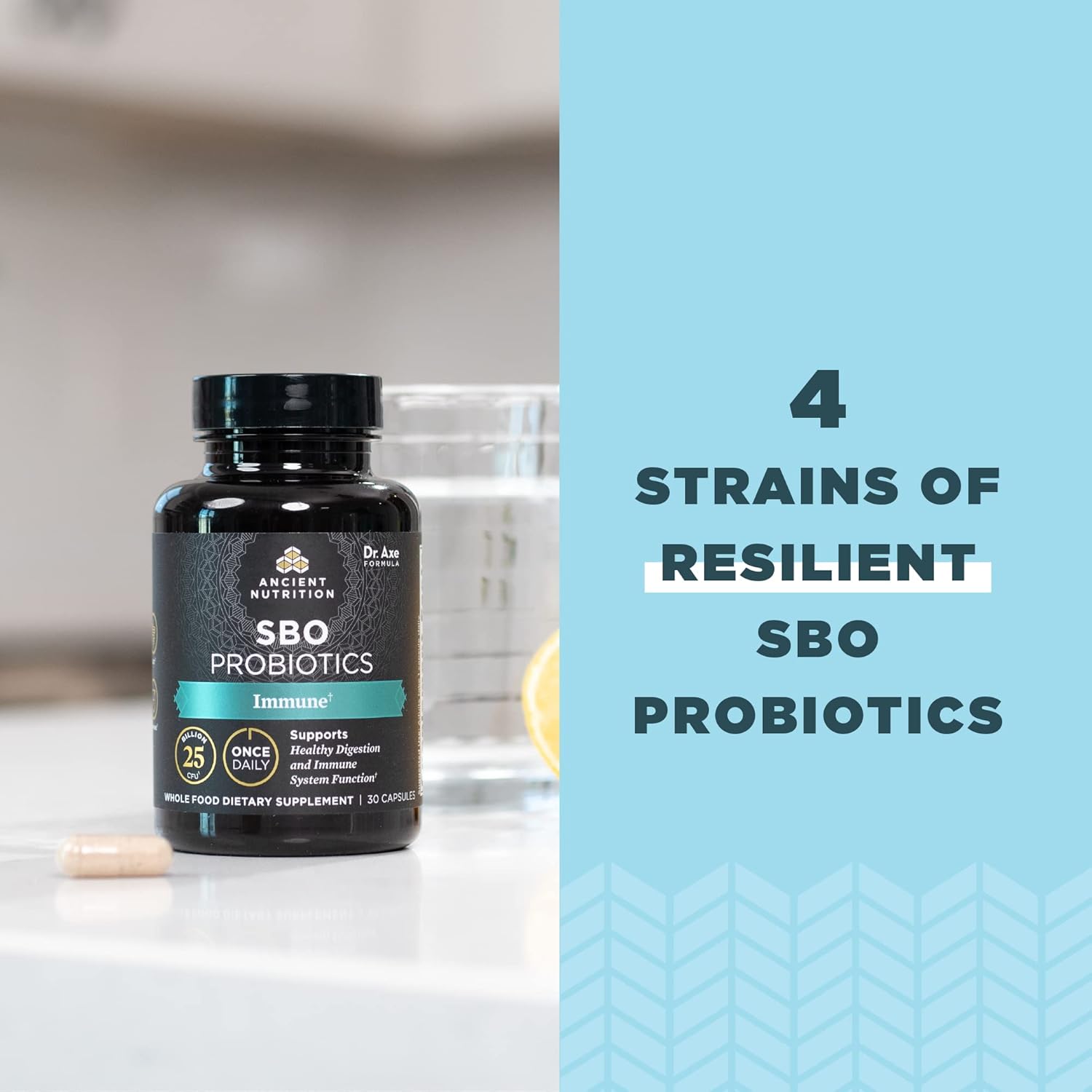 Ancient Nutrition SBO Probiotics with Vitamin C & D, 30Ct - 25B CFUs for Immune & Digestive Health