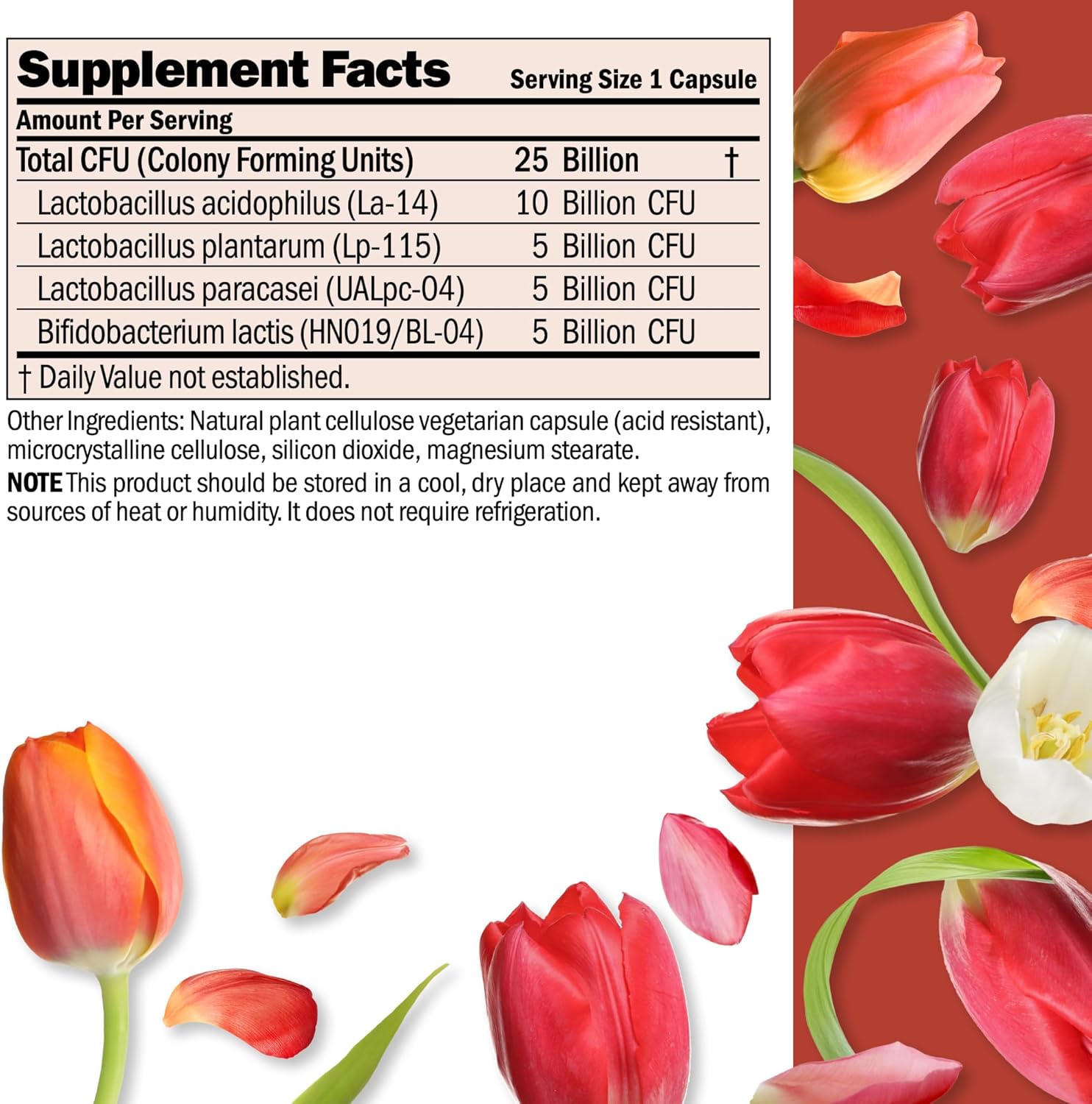 ANDREW LESSMAN Ultimate Friendly Flora Probiotic Capsules - 25 Billion CFU, Comprehensive Blend of Five Strains, Immune and Digestive Support
