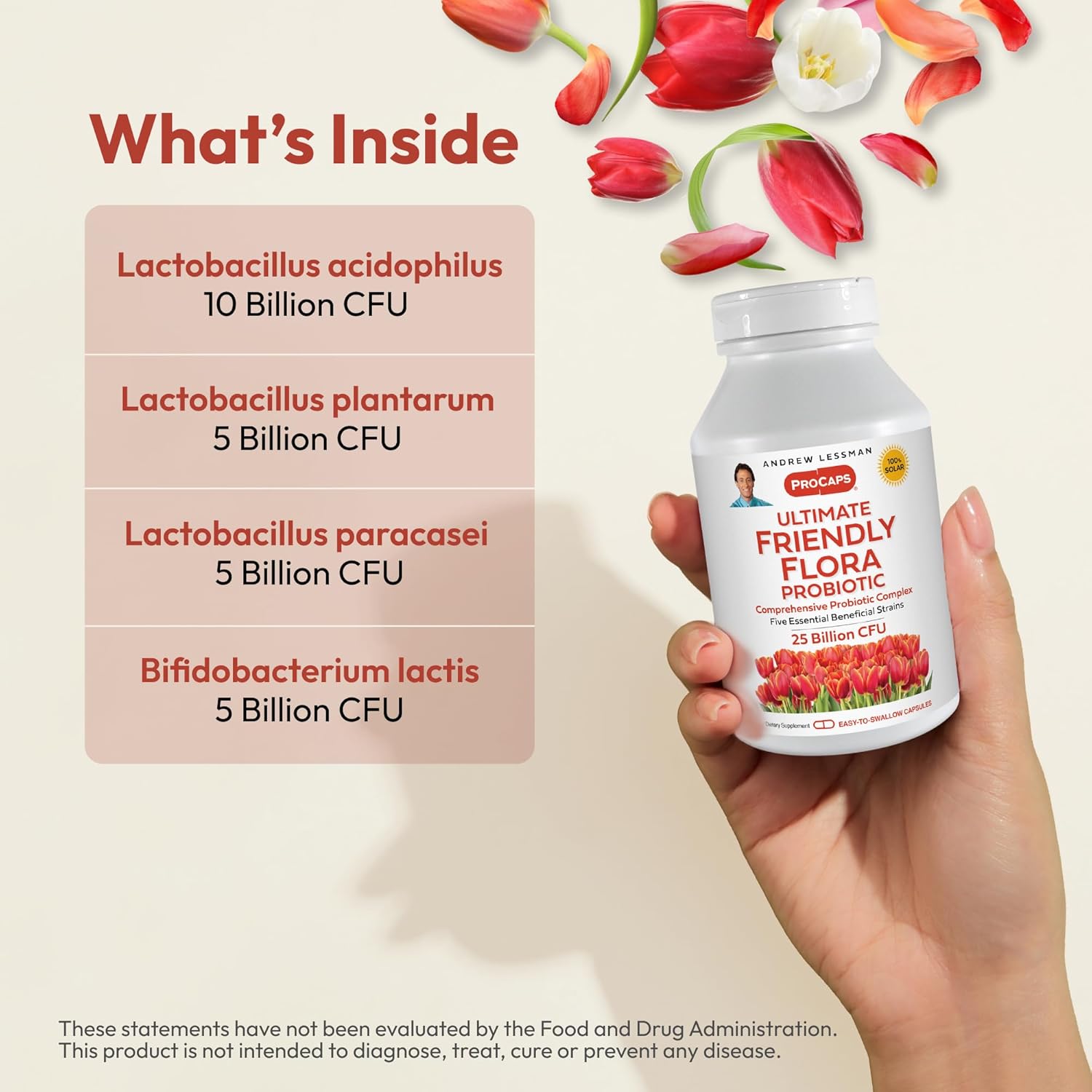 ANDREW LESSMAN Ultimate Friendly Flora Probiotic Capsules - 25 Billion CFU, Comprehensive Blend of Five Strains, Immune and Digestive Support