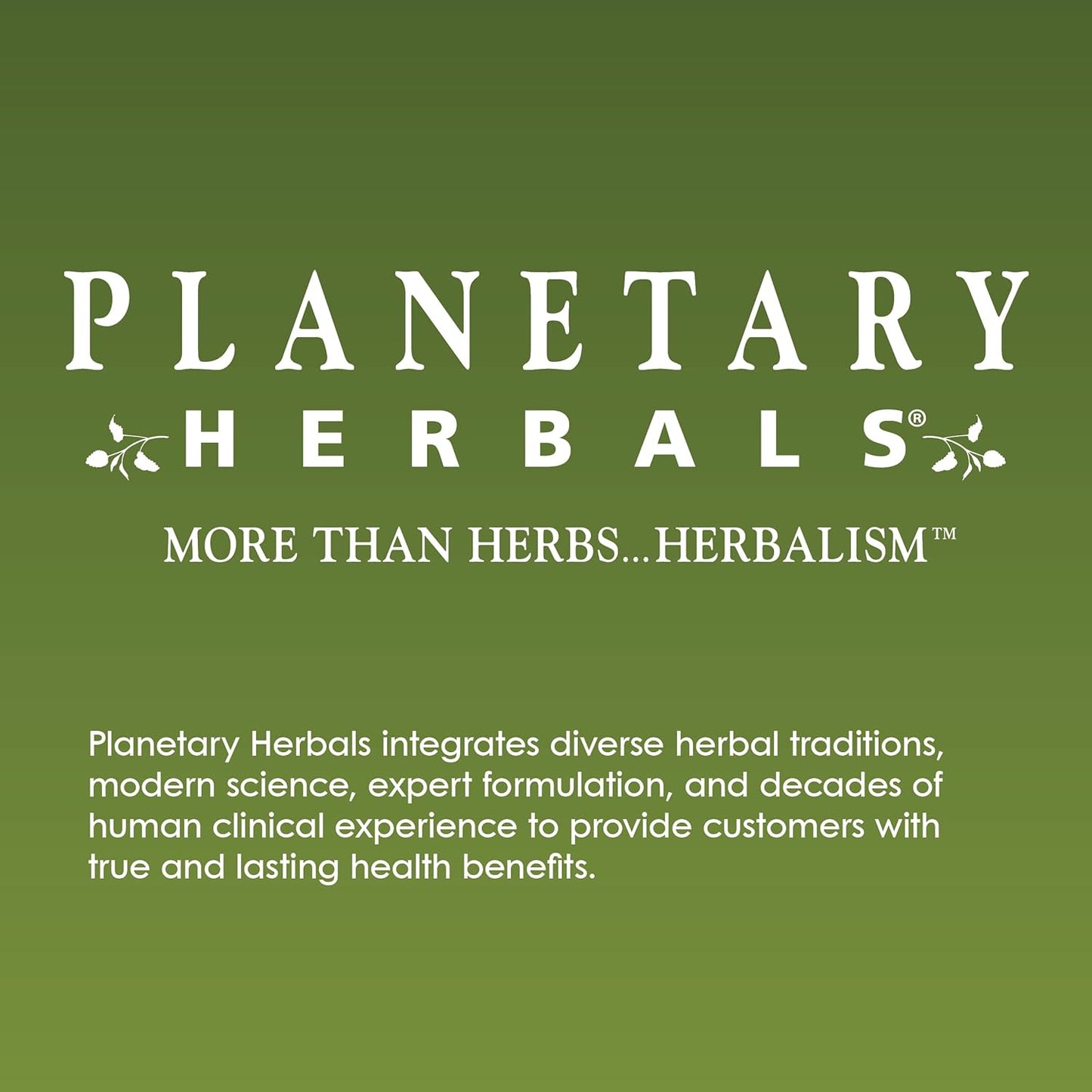 Andrographis 400mg Tablets - Full Spectrum Ayurvedic Herb by Planetary Herbals - 60 Count