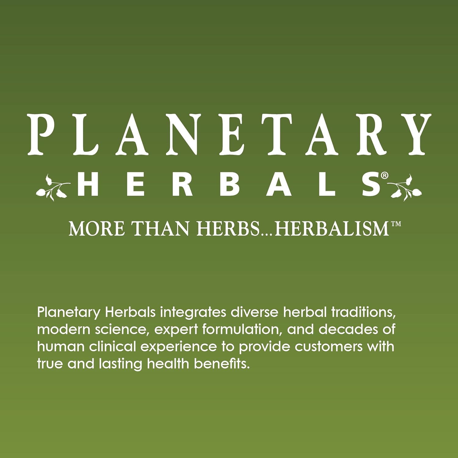 Andrographis 400mg Tablets - Full Spectrum Ayurvedic Herb by Planetary Herbals - 60 Count