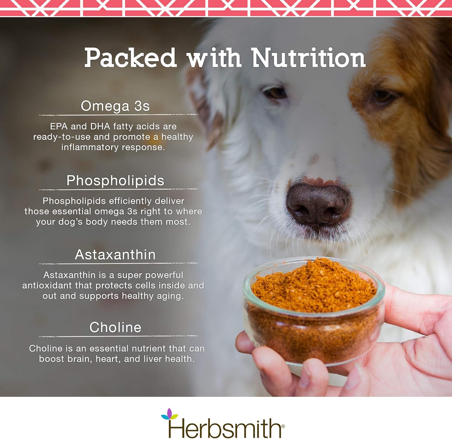 Antarctic Krill for Dogs - Pure Wild-Caught Omega 3 with Astaxanthin - 400g Size - Herbsmith Krill Supplement for Pets