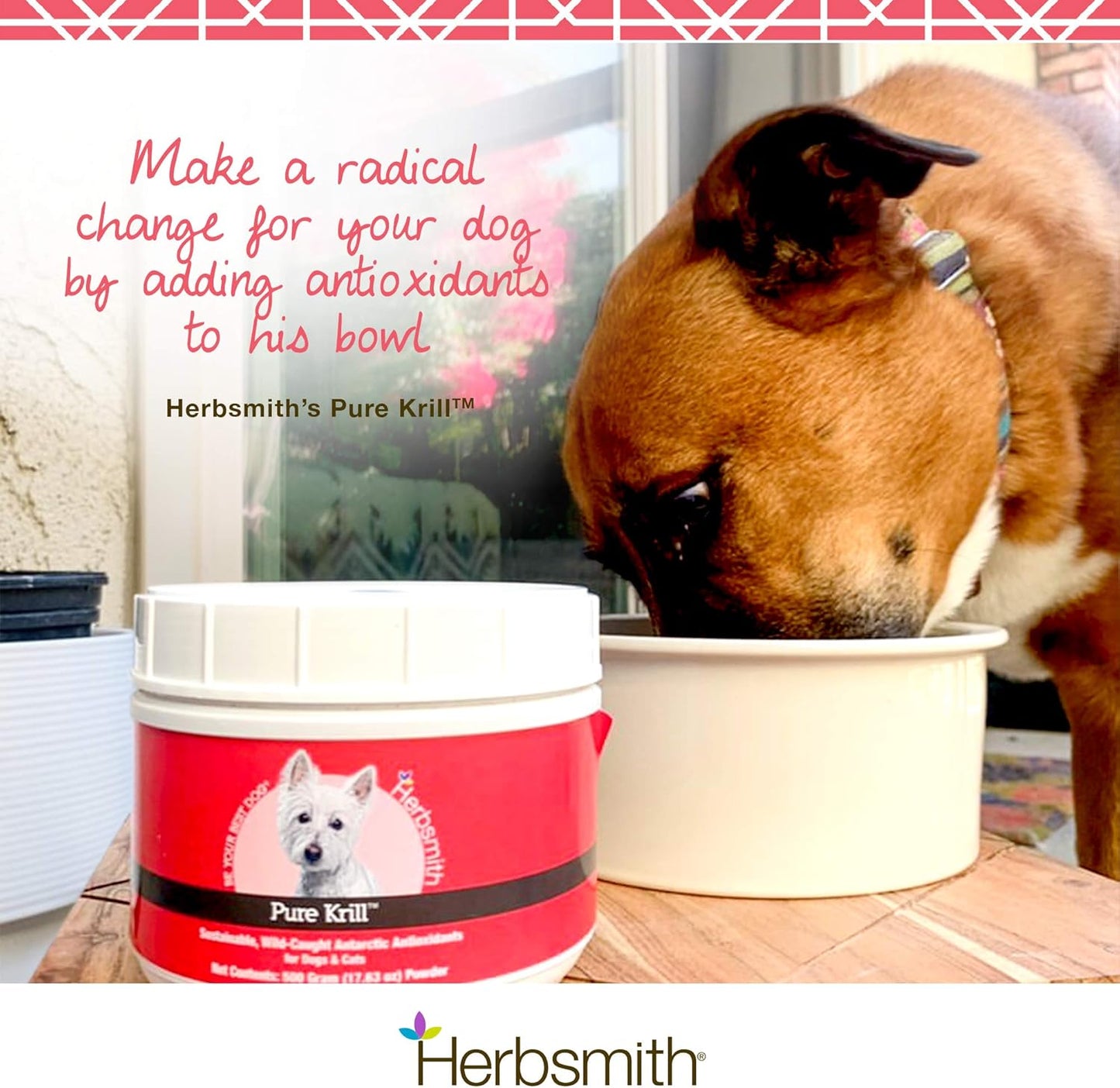 Antarctic Krill for Dogs - Pure Wild-Caught Omega 3 with Astaxanthin - 400g Size - Herbsmith Krill Supplement for Pets