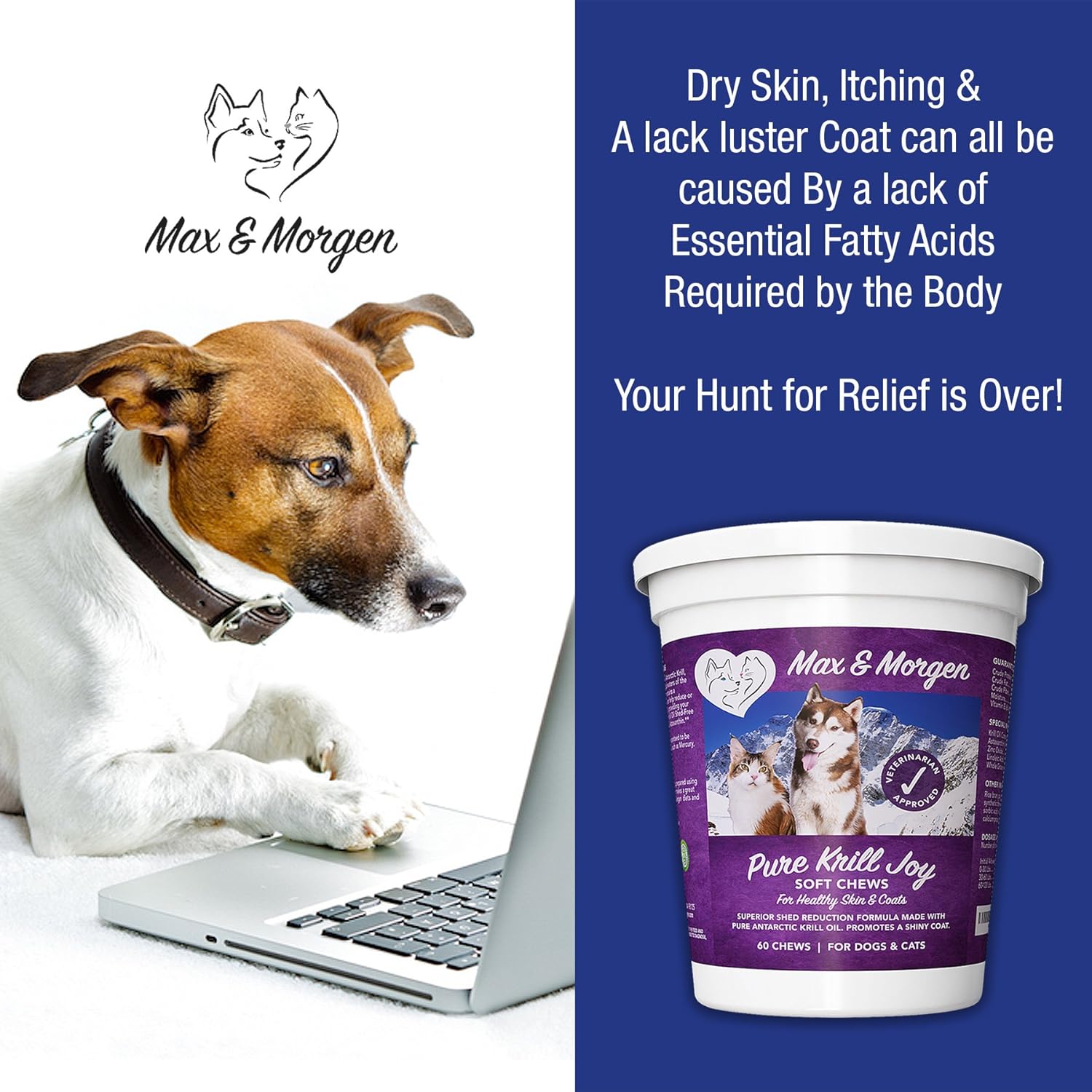 Antarctic Krill Oil Soft Chews for Dogs with Omega 3, Antioxidants, and Shed Reducing Formula - 60 Chews