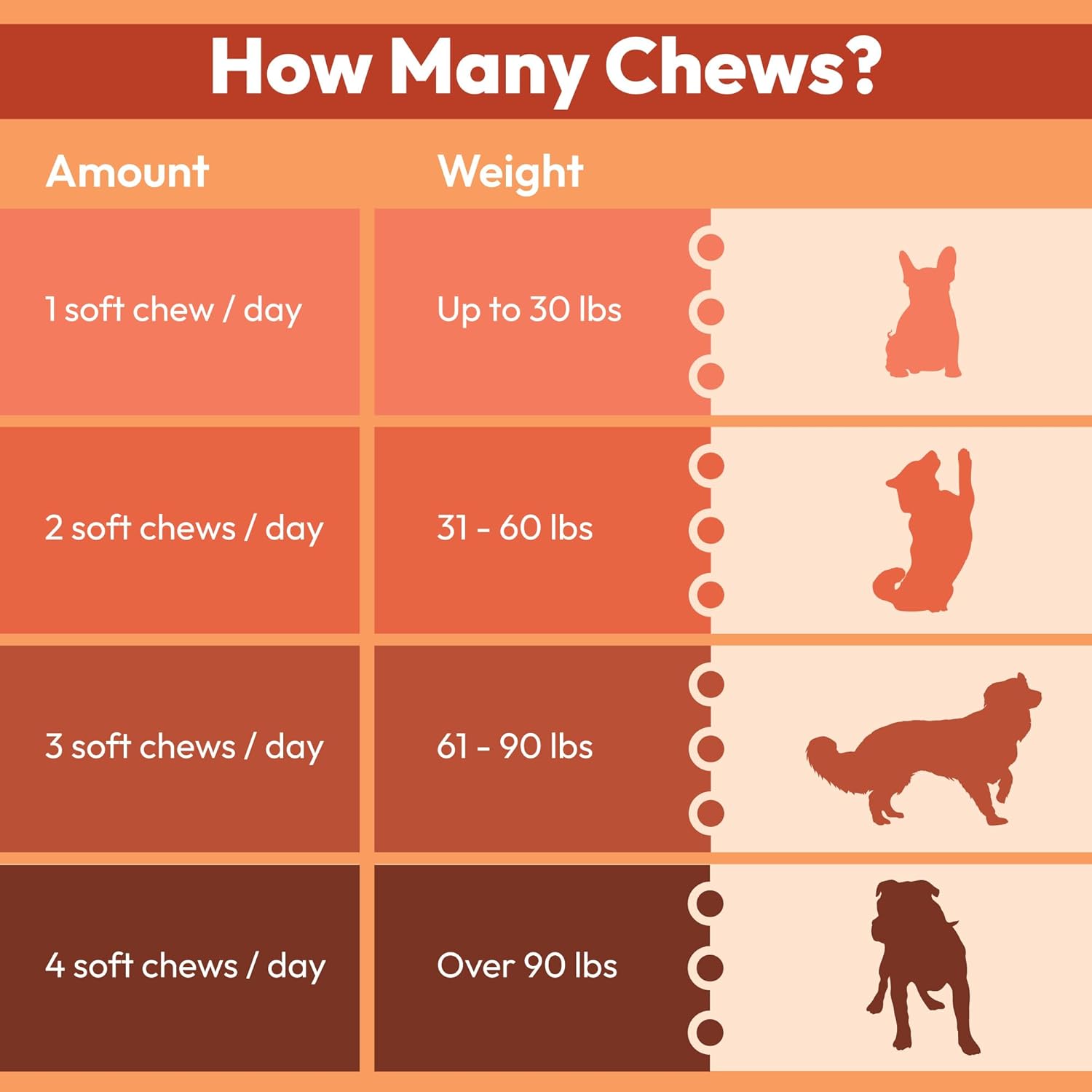 Anti-Aging Chewable Supplement for Dogs with Curcumin, Taurine, and Trans-Resveratrol - Supports Aging, Wellness, and Vitality in Dogs