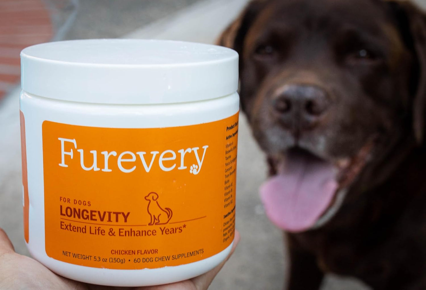 Anti-Aging Chewable Supplement for Dogs with Curcumin, Taurine, and Trans-Resveratrol - Supports Aging, Wellness, and Vitality in Dogs