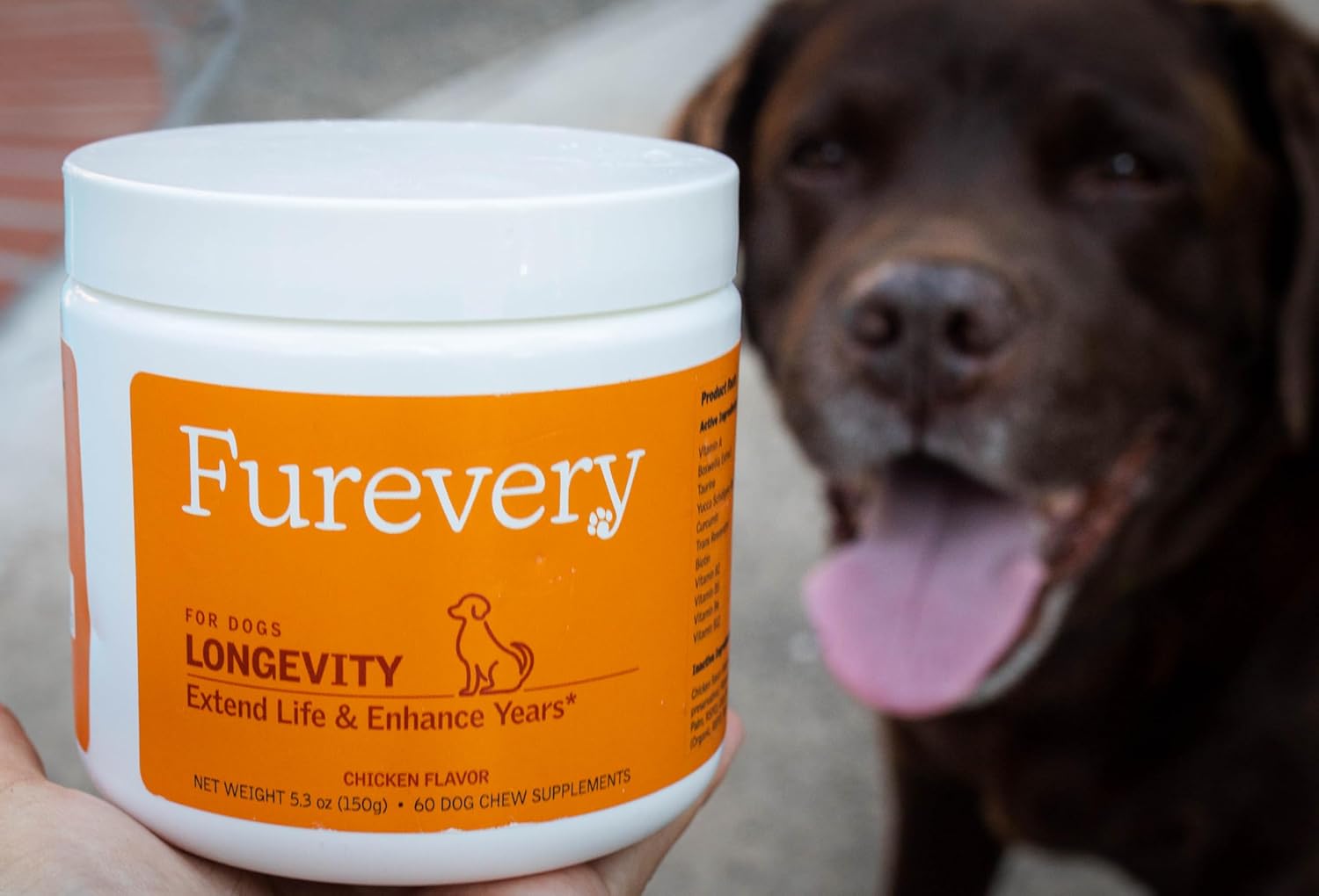 Anti-Aging Chewable Supplement for Dogs with Curcumin, Taurine, and Trans-Resveratrol - Supports Aging, Wellness, and Vitality in Dogs