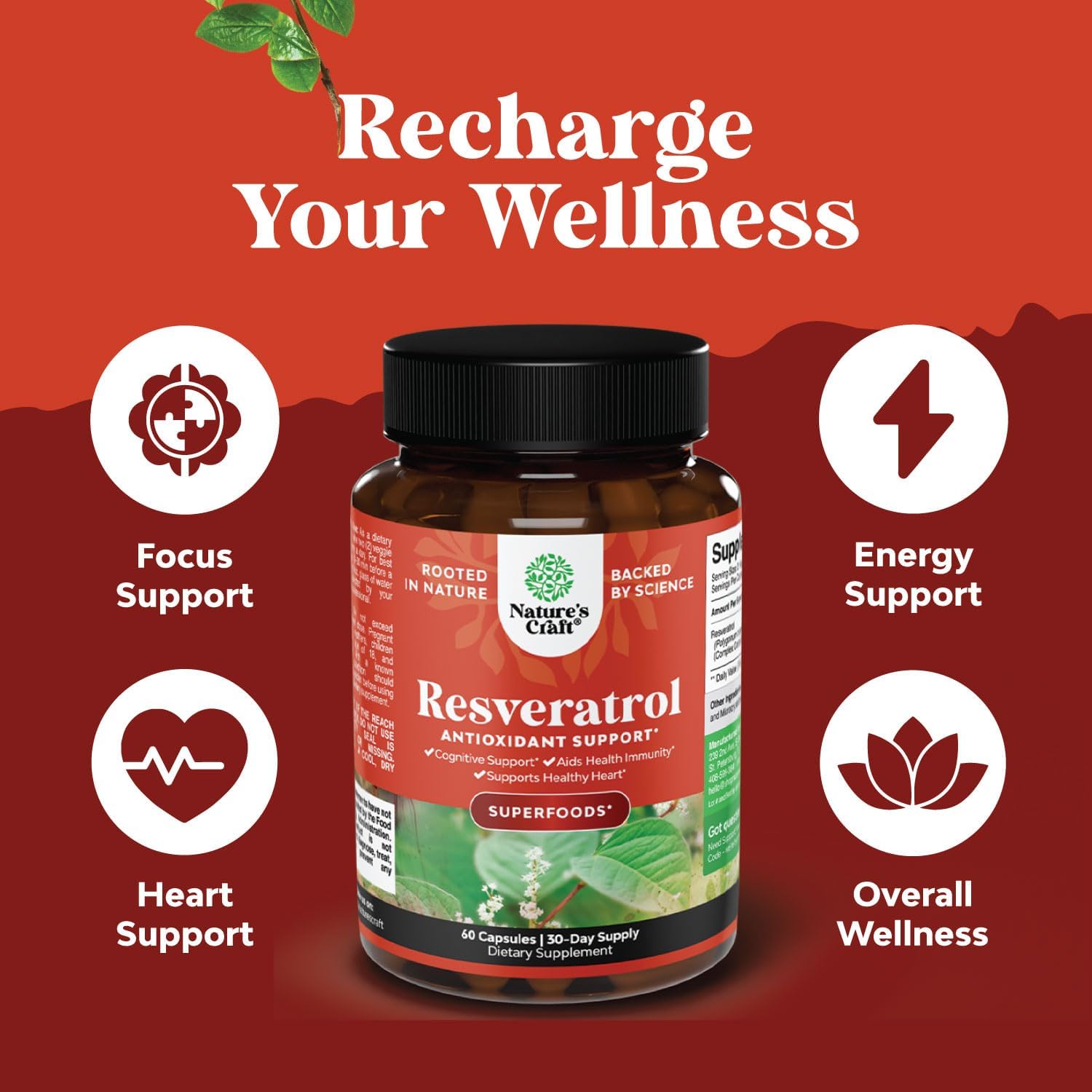 Anti Aging Trans Resveratrol and Halal Zinc Bundle - Joint Support and Immune System Booster with Natural Supplements
