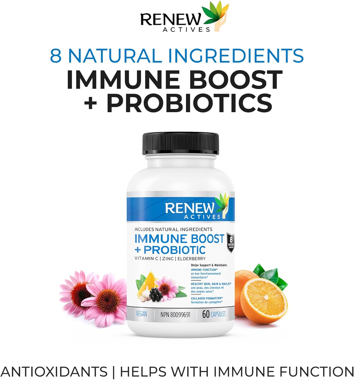 Antioxidant Capsules with Elderberry, Probiotics, Zinc, Vitamin C, and Turmeric for Immune Support and Overall Wellness - 60 Vegan Capsules