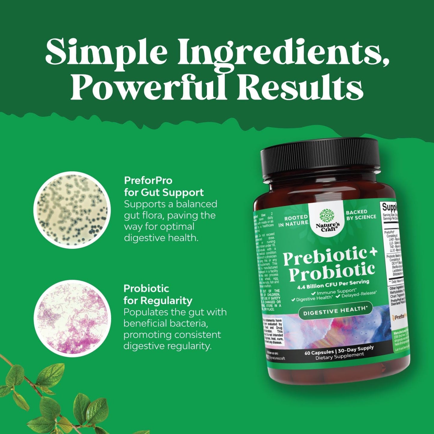 Antioxidant Heart Health Green Coffee Bean Extract Bundle with Prebiotics and Probiotics for Men and Women | Digestive Health Support Supplement