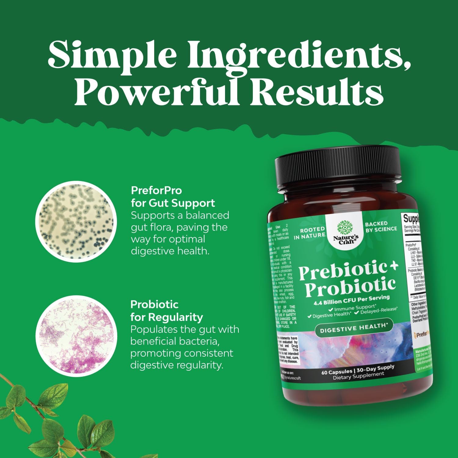 Antioxidant Heart Health Green Coffee Bean Extract Bundle with Prebiotics and Probiotics for Men and Women | Digestive Health Support Supplement