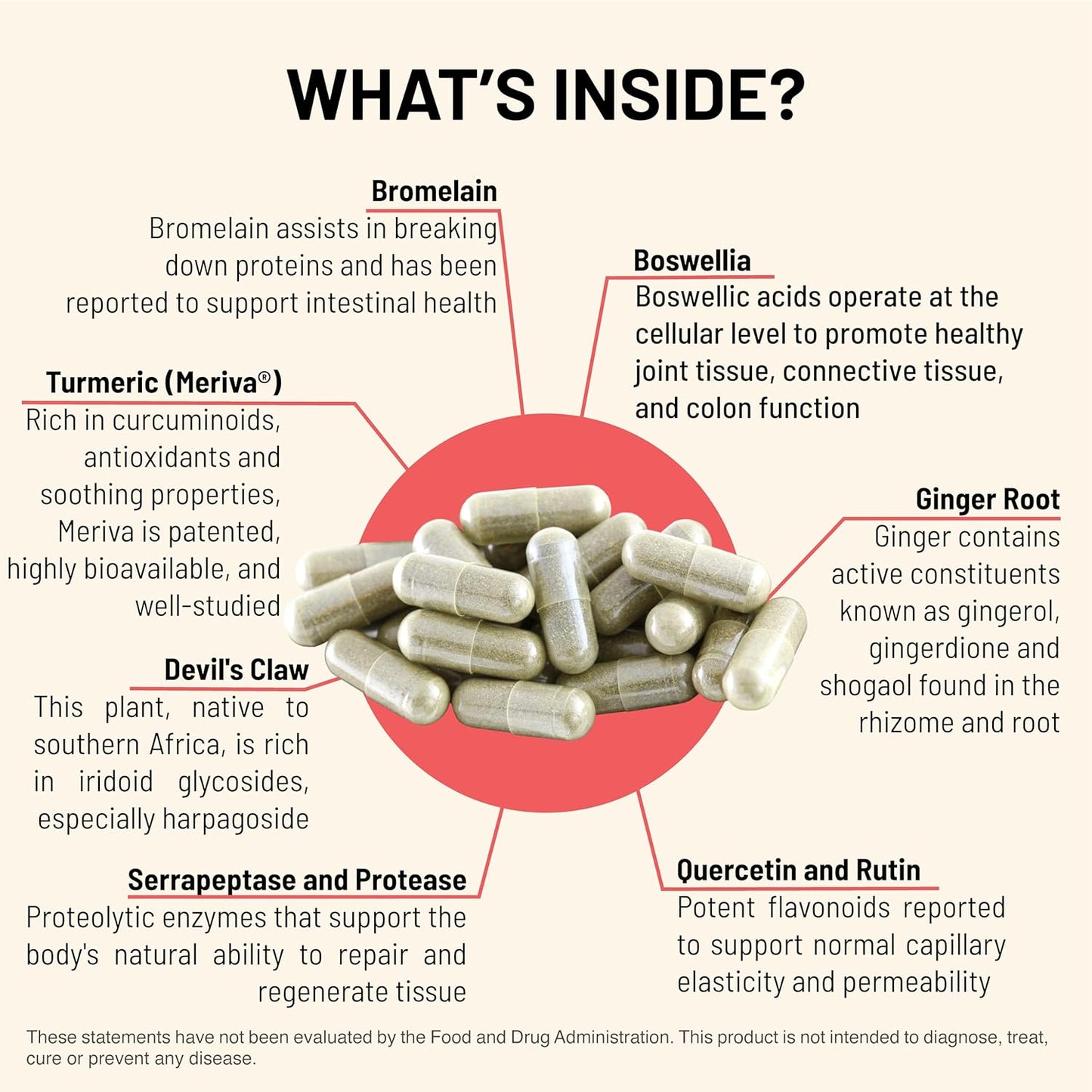 Antioxidant Immune Support Supplement with Turmeric, Ginger, and Bromelain for Intestinal and Whole Body Health - 90 Capsules