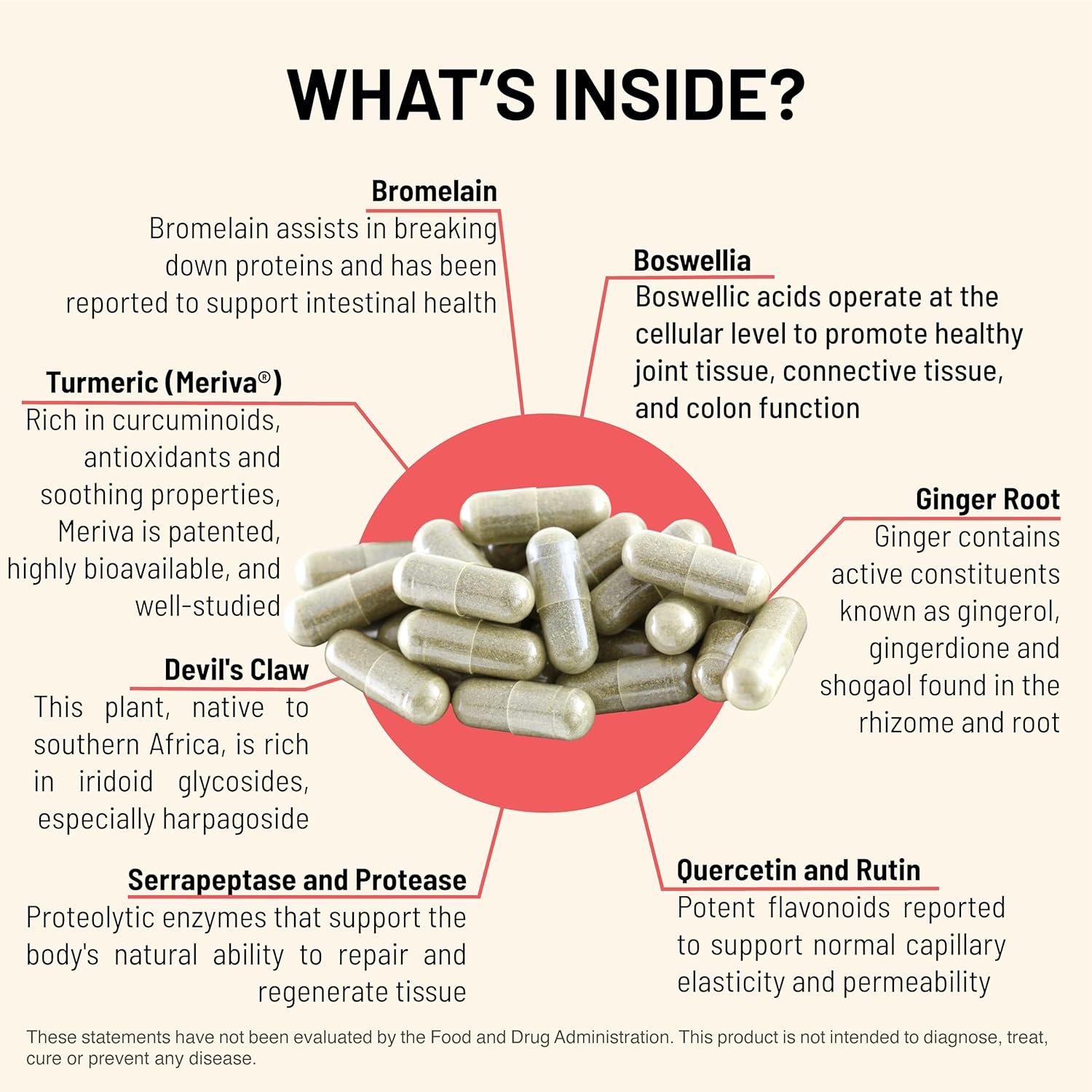 Antioxidant Immune Support Supplement with Turmeric, Ginger, and Bromelain for Intestinal and Whole Body Health - 90 Capsules