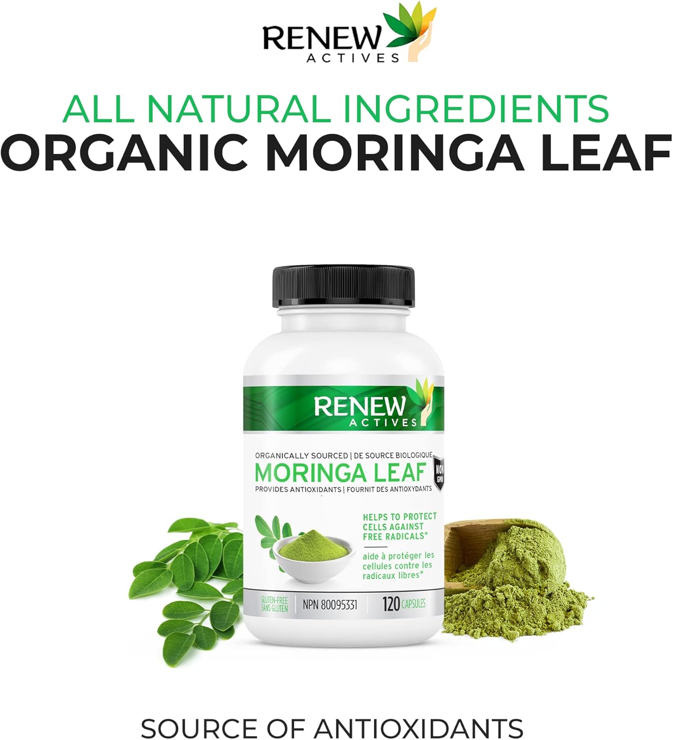 Antioxidant-Rich Moringa Leaf Supplement for Good Health - Easy-to-Swallow Capsules - 120 Count