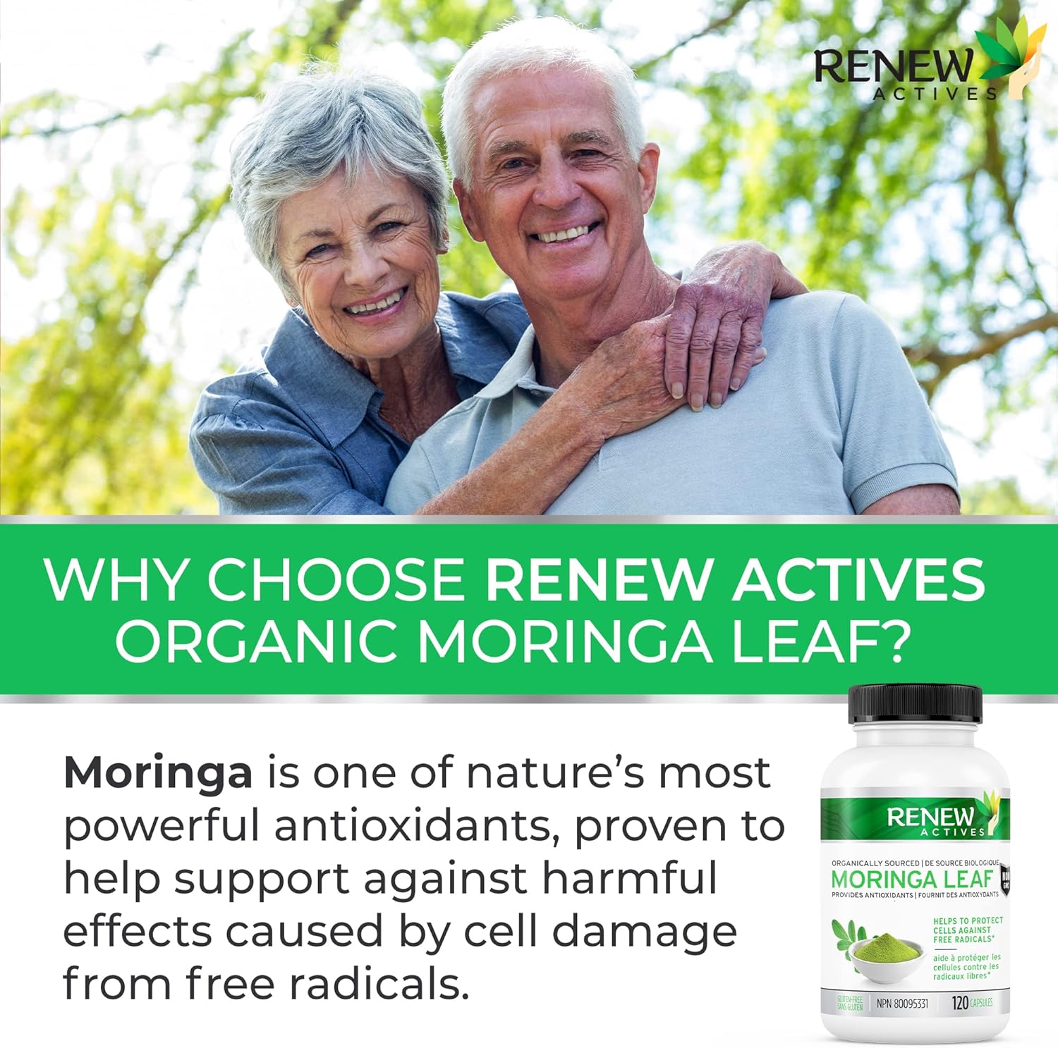 Antioxidant-Rich Moringa Leaf Supplement for Good Health - Easy-to-Swallow Capsules - 120 Count