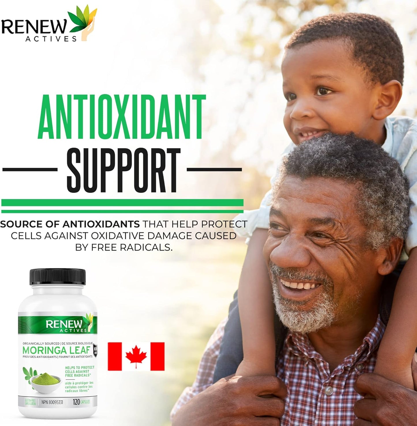 Antioxidant-Rich Moringa Leaf Supplement for Good Health - Easy-to-Swallow Capsules - 120 Count