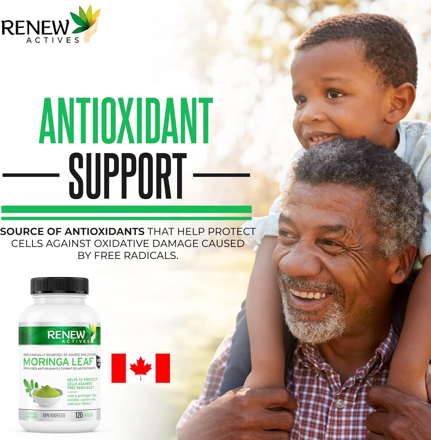 Antioxidant-Rich Moringa Leaf Supplement for Good Health - Easy-to-Swallow Capsules - 120 Count