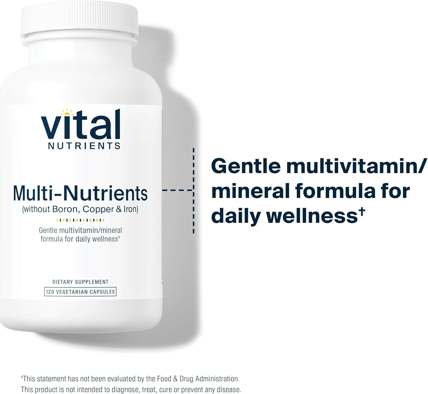 Antioxidant-Rich Multi-Nutrient Formula | Vegetarian Daily Multivitamin | Non-GMO | 120 Capsules