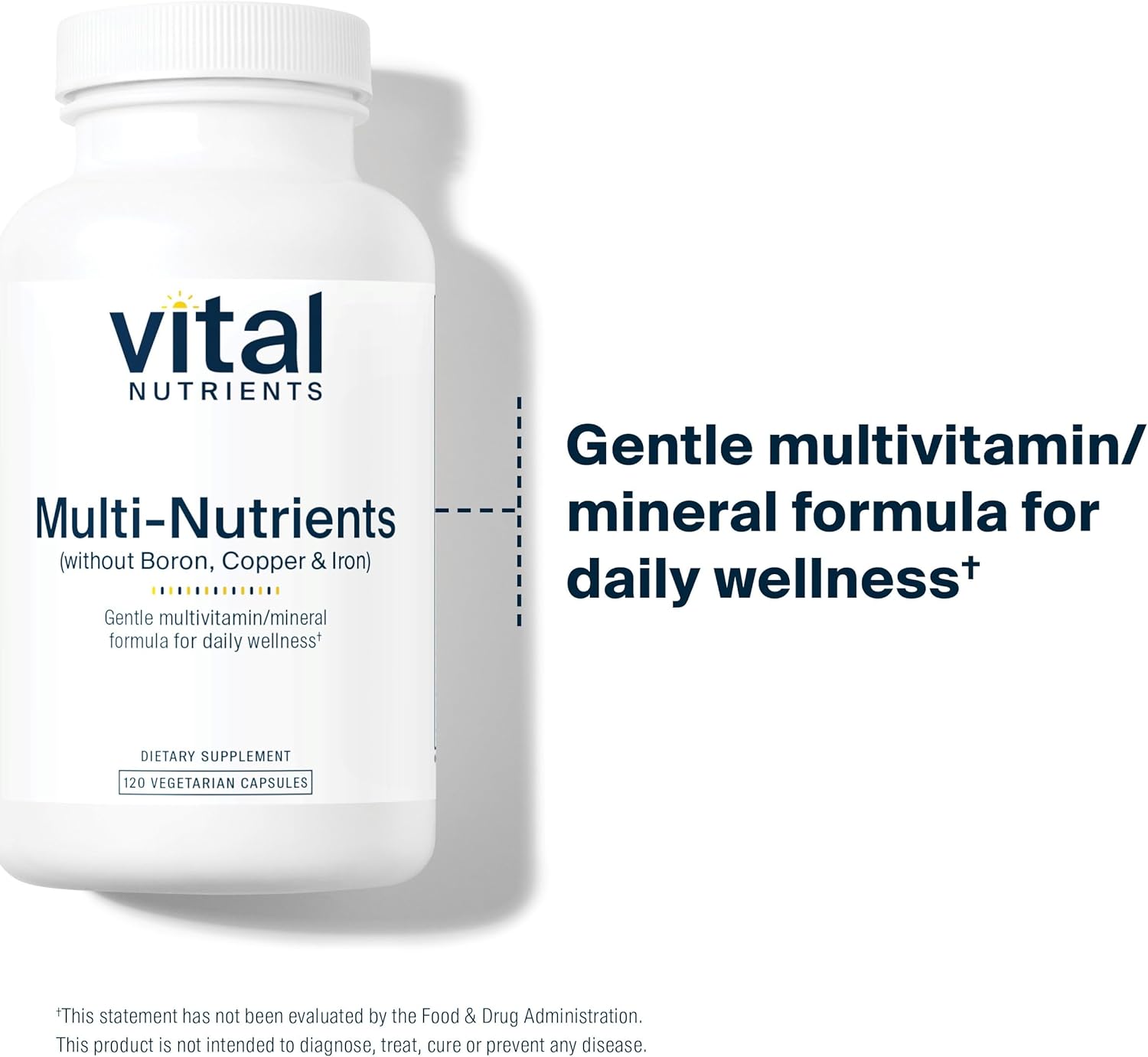 Antioxidant-Rich Multi-Nutrient Formula | Vegetarian Daily Multivitamin | Non-GMO | 120 Capsules