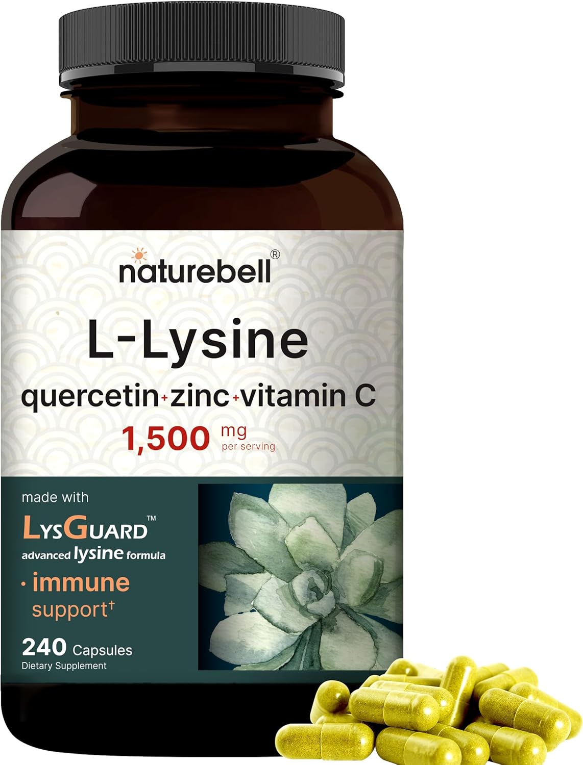 Antioxidant Superfood Bundle: NatureBell Moringa Oleifera 8000mg & L-Lysine 1000mg Capsules - Free Form Amino Acids - L Lysine Complex - BoostGo Australia