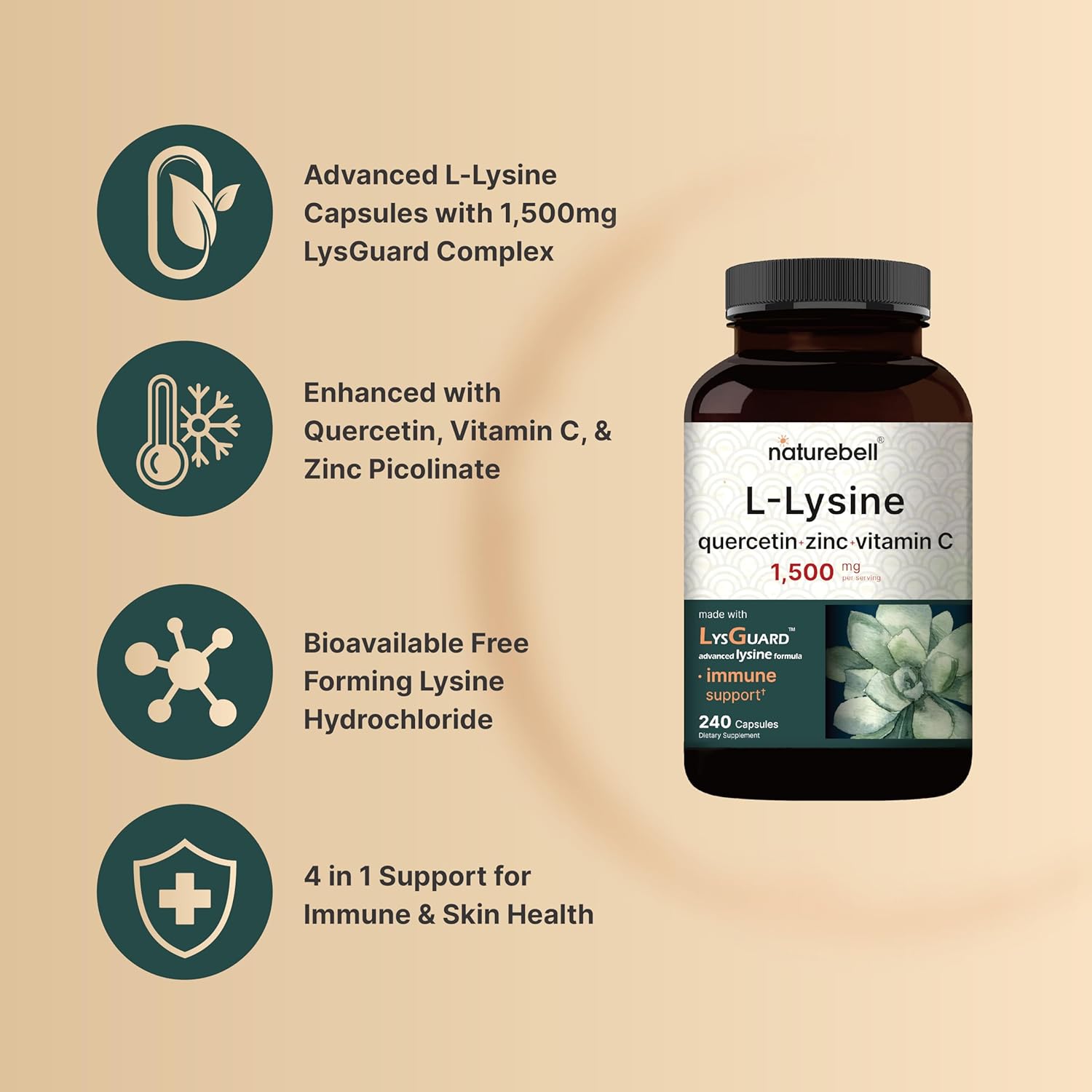 Antioxidant Superfood Bundle: NatureBell Moringa Oleifera 8000mg & L-Lysine 1000mg Capsules - Free Form Amino Acids - L Lysine Complex - BoostGo Australia