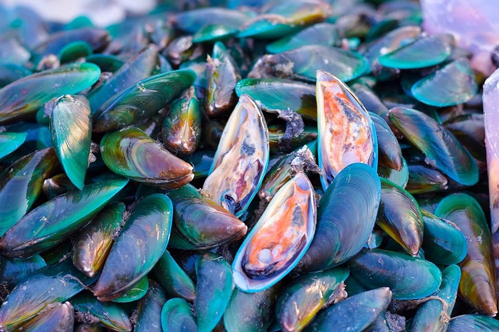 Antler Farms 100% Pure New Zealand Green Lipped Mussel Oil Softgels - 12,500mg Equivalent - 2 Month Supply