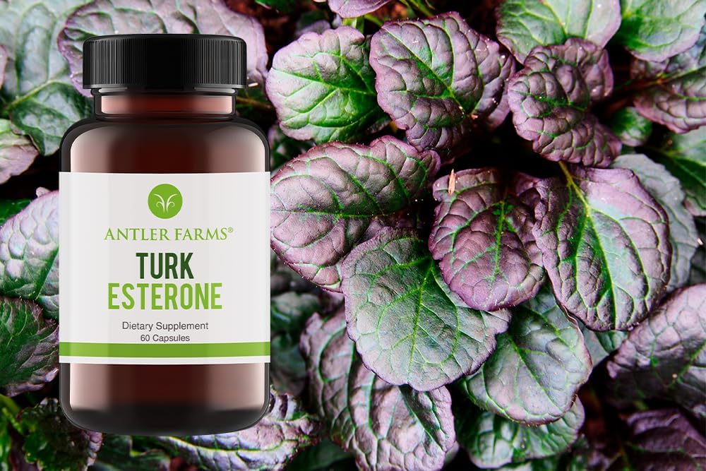 Antler Farms Turkesterone Capsules - 100% Pure Ajuga Turkestanica Extract, 500mg, 60 Capsules, Supports Men’s Health, Antioxidant Supplement