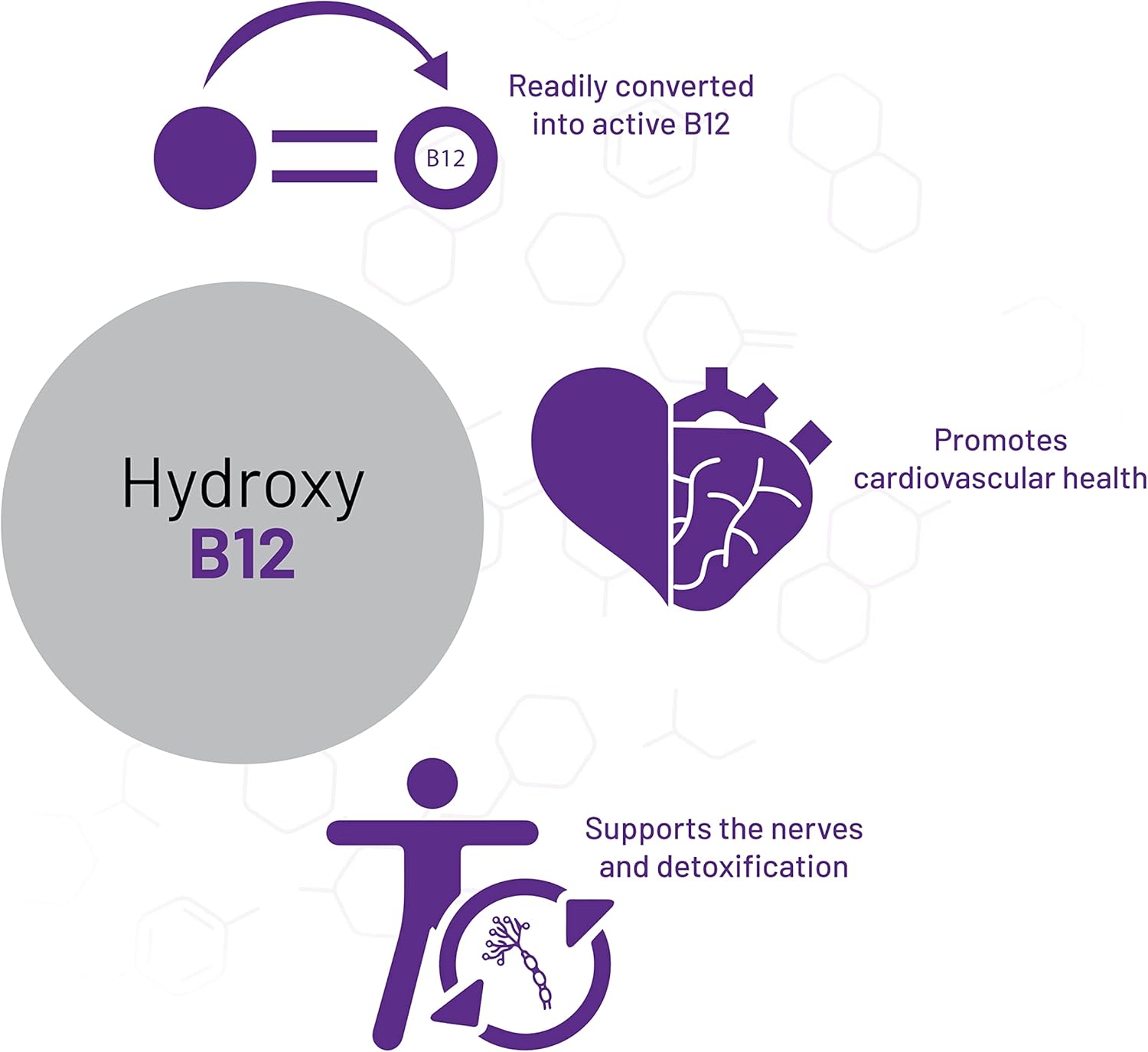 AOR Hydroxy B12 Dietary Supplement - Supports Cardiovascular Health, Nerve Function, and Detoxification - Vegan - 60 Lozenges