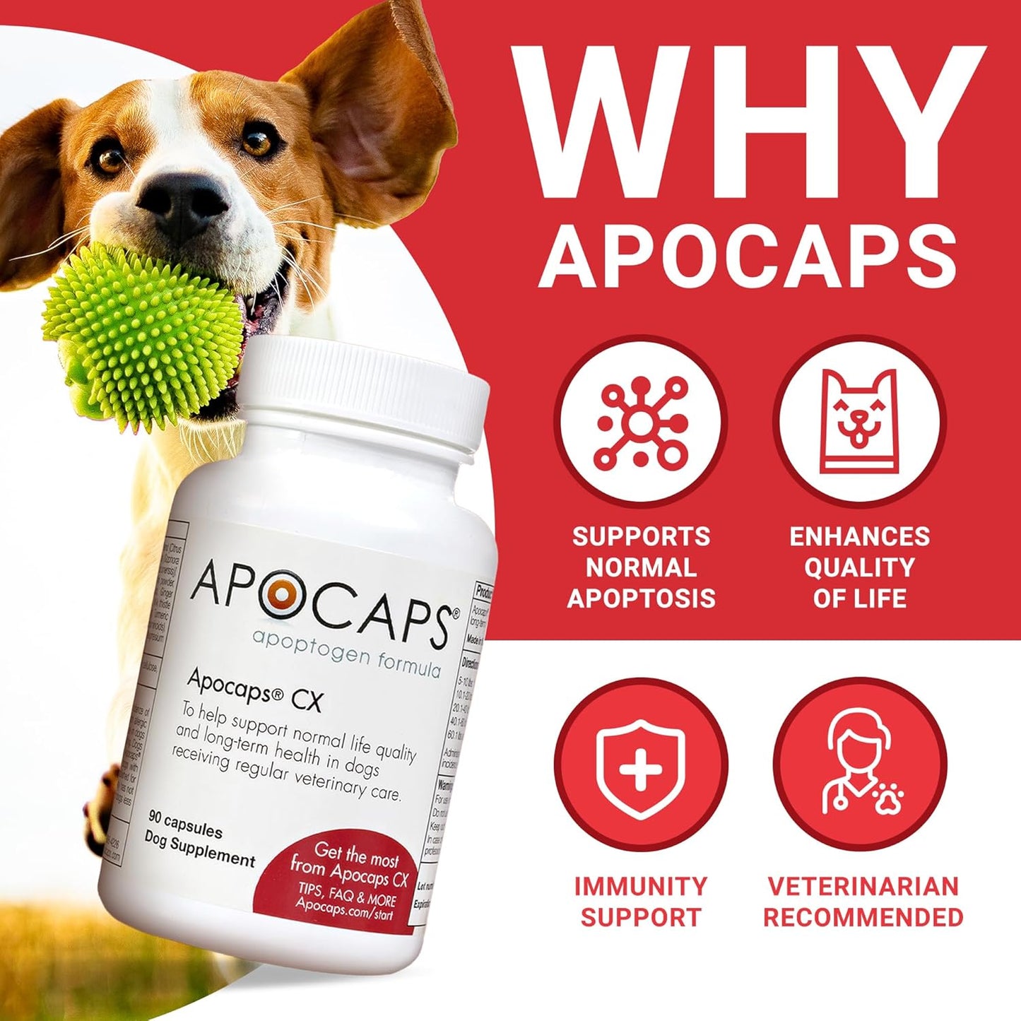 Apocaps CX Apoptogen Formula for Dogs - 90 Count Pack - Functional Nutriments