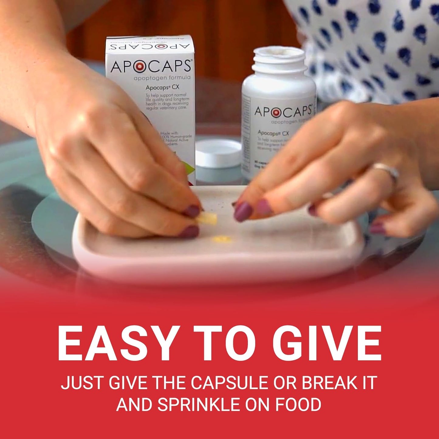 Apocaps CX Apoptogen Formula for Dogs - 90 Count Pack - Functional Nutriments