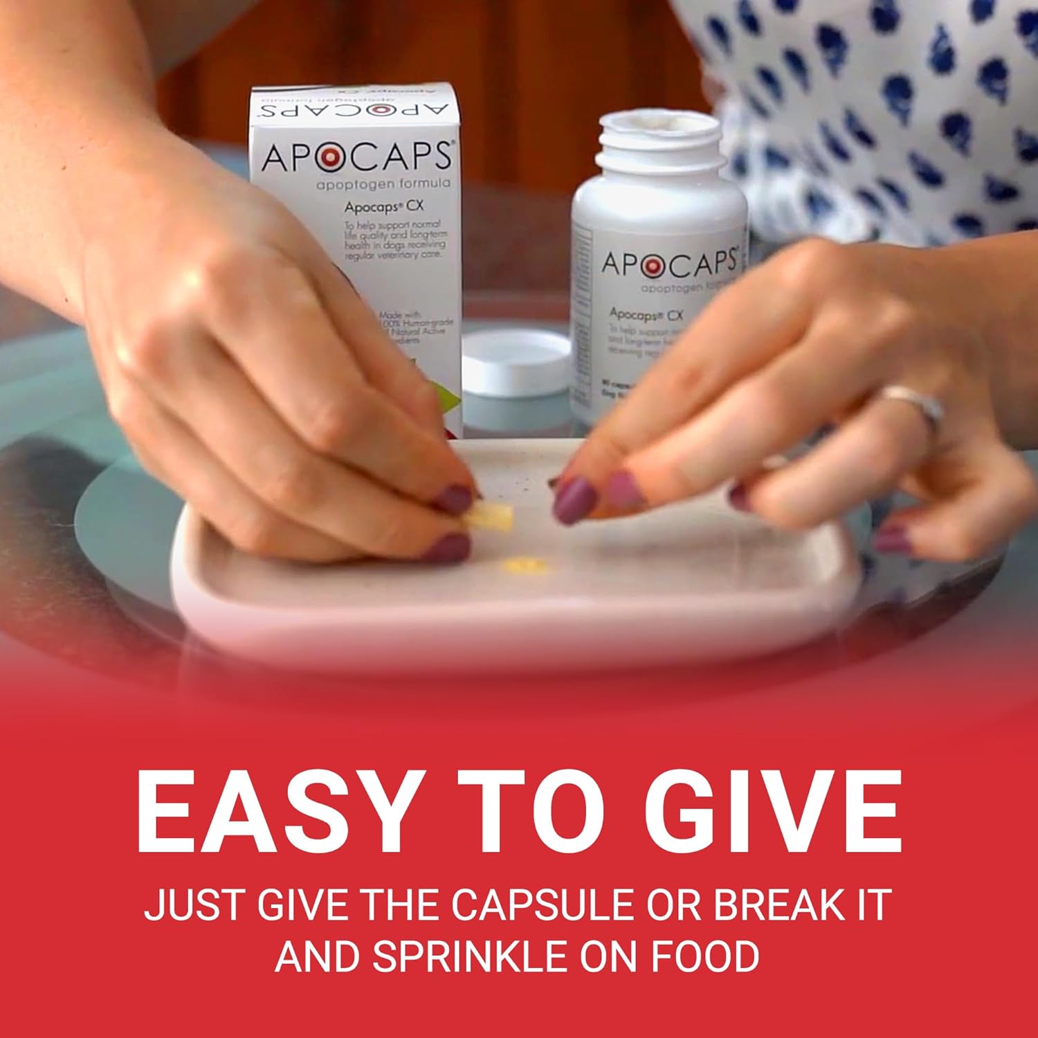 Apocaps CX Apoptogen Formula for Dogs - 90 Count Pack - Functional Nutriments