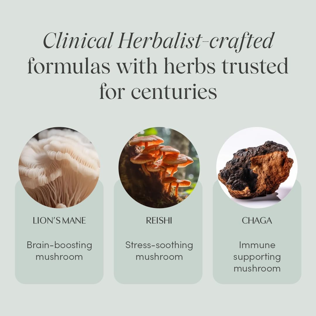 Apothékary Mind Over Matter Mushroom Powder: Cognitive Support, Memory & Focus, Stress Relief - Herbal Supplement, Vegan, Sugar-Free