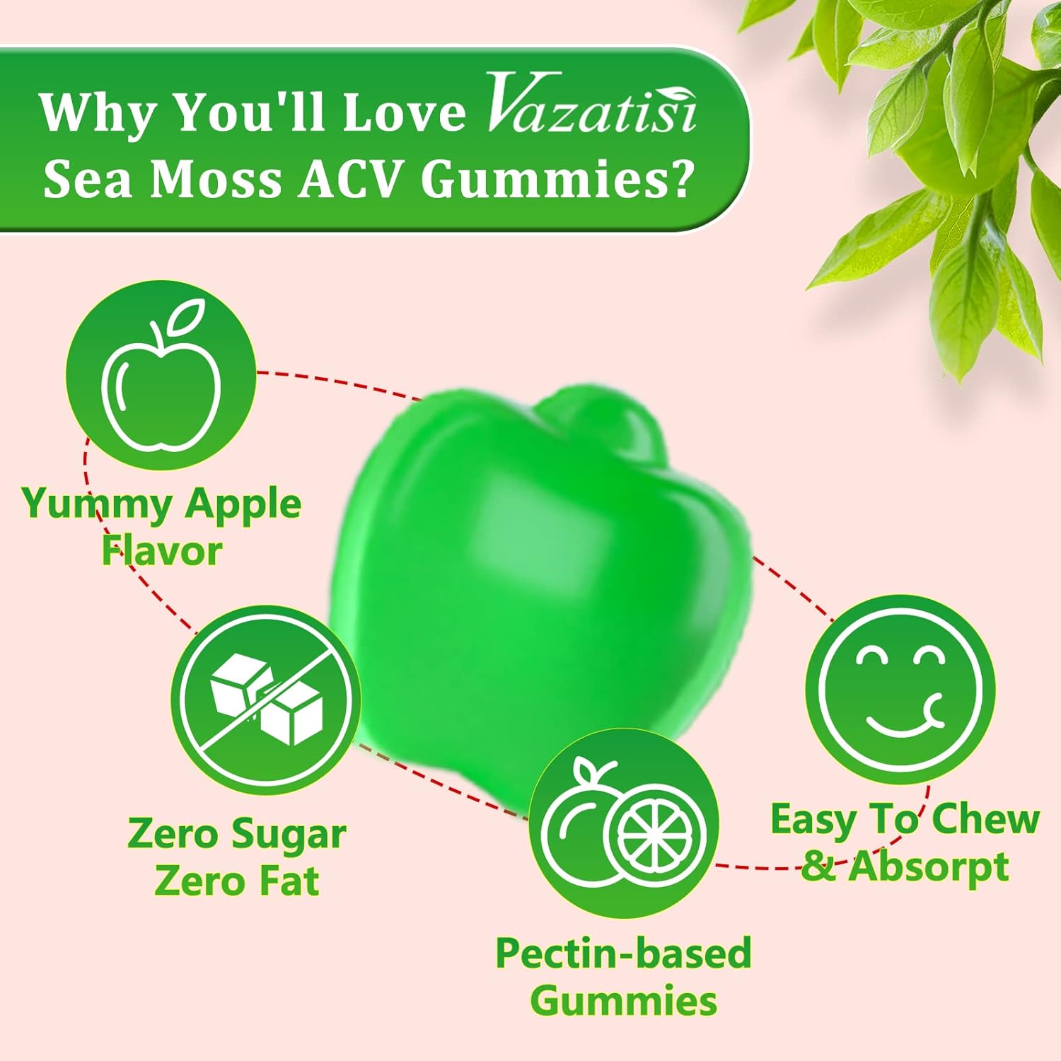 Apple Flavored Vazatisi Vegan Sea Moss Gummies with ACV, Pomegranate, Beet Root, Bladderwrack, Burdock, Vitamin C, and Zinc for Digestion, Mood, Energy, and Immune Support