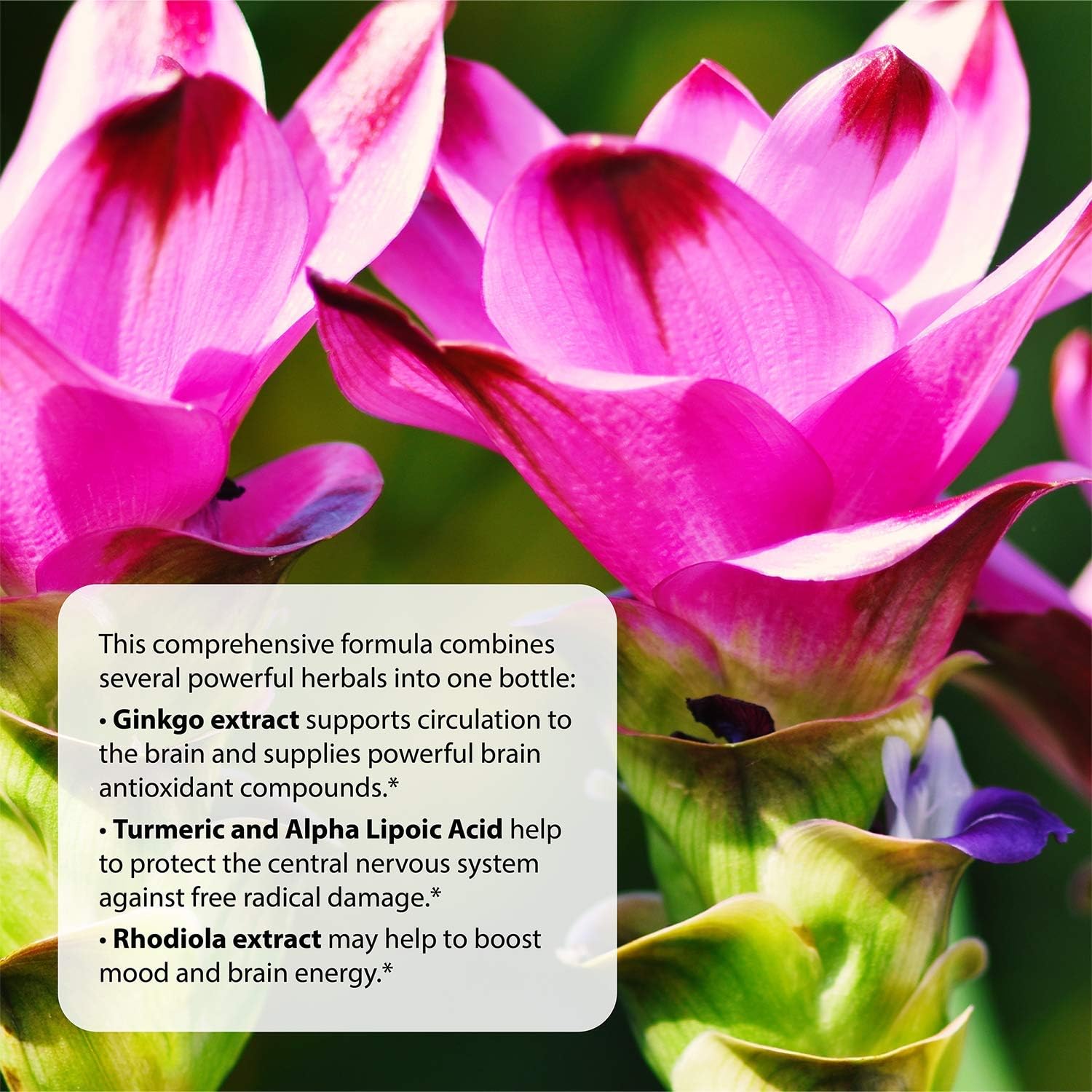 Applied Nutrition Healthy Brain All-Day Focus - 100 Tablets, 3-in-1 Brain Booster with Turmeric Extract