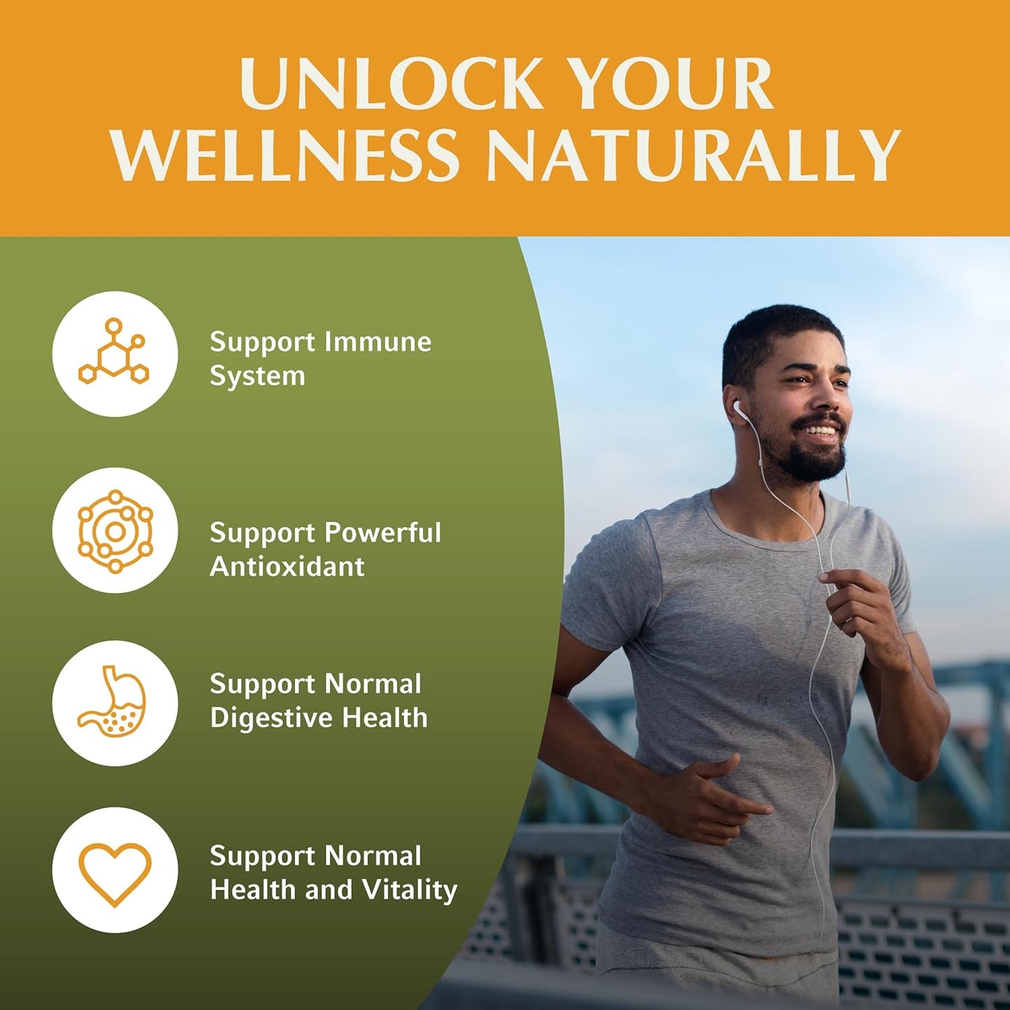 Artemisia Annua Sweet Wormwood Capsules by Jiva Botanicals - Natural Herbal Supplement for Wellness