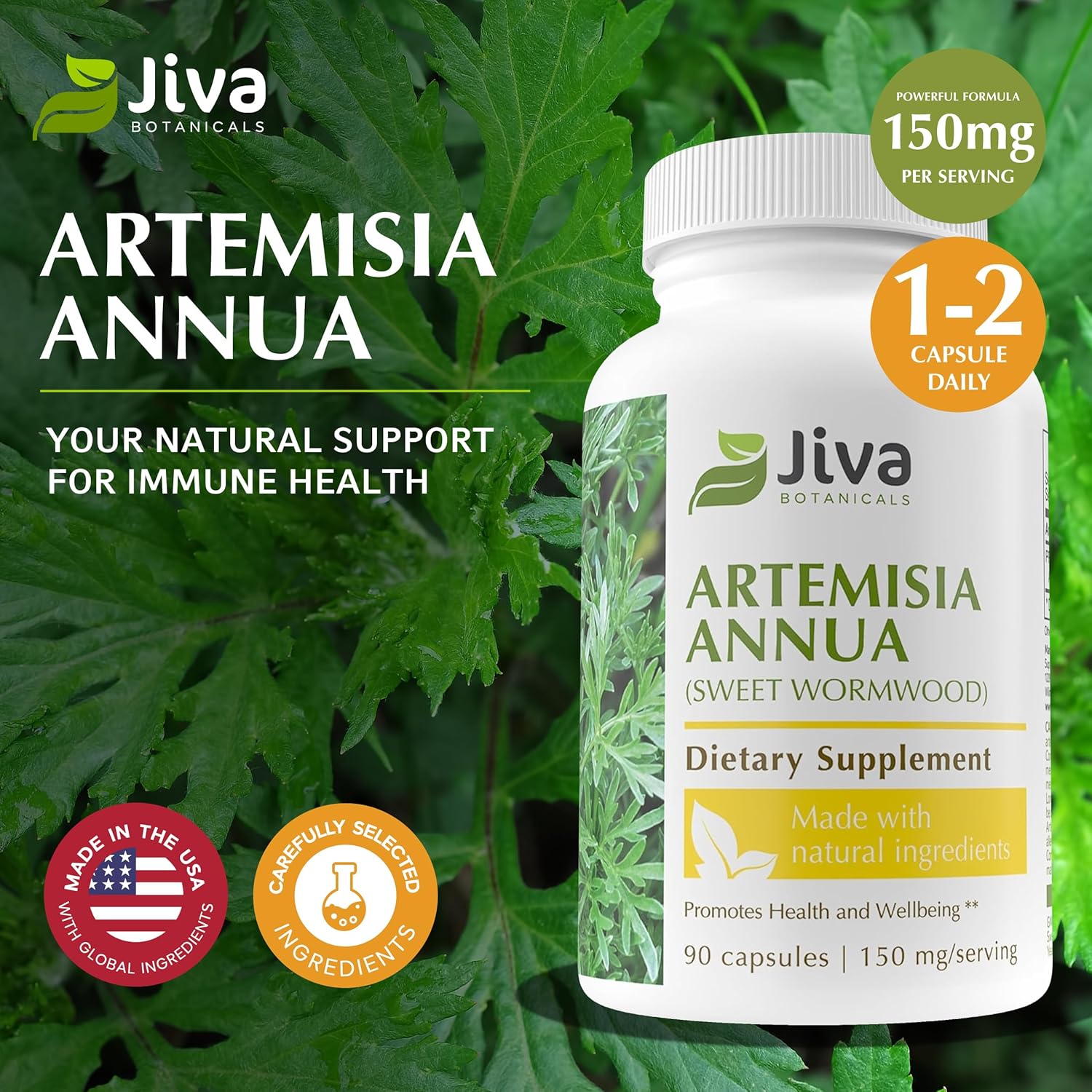 Artemisia Annua Sweet Wormwood Capsules by Jiva Botanicals - Natural Herbal Supplement for Wellness