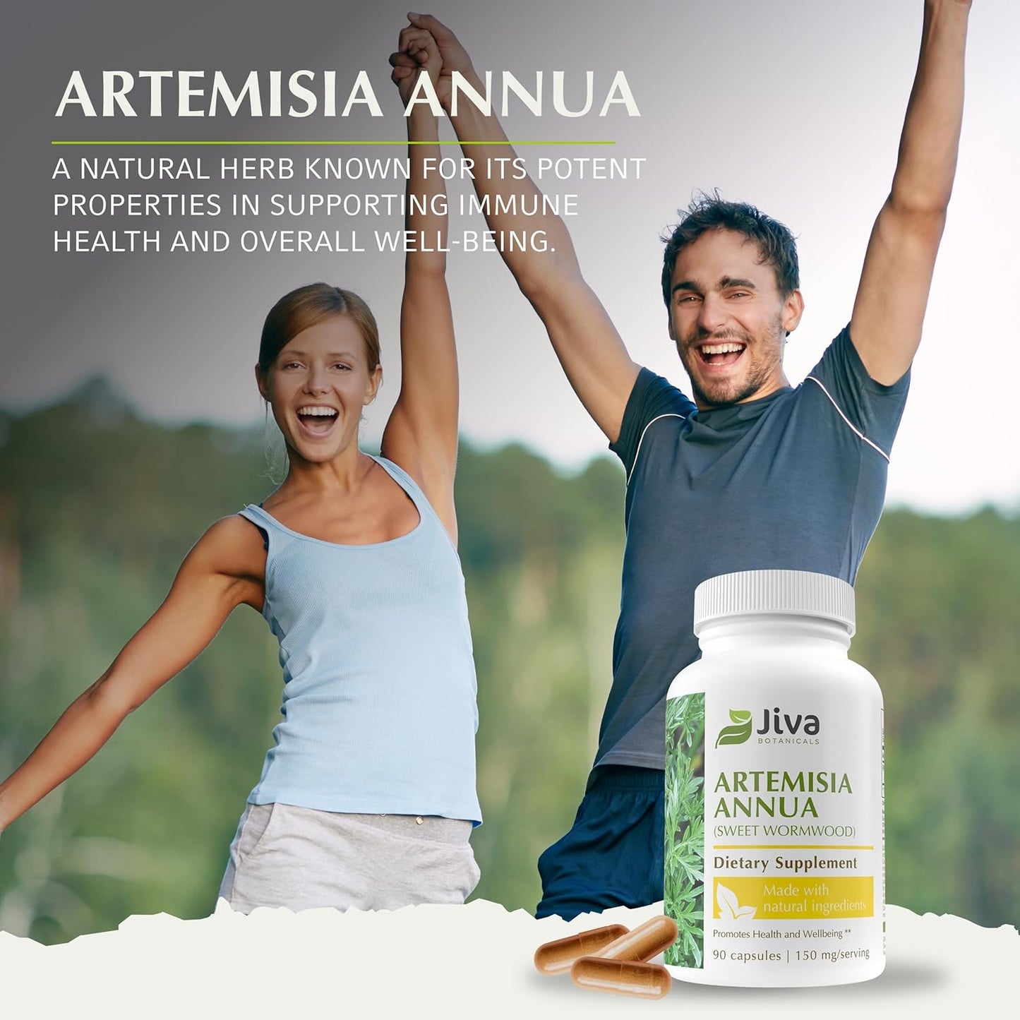 Artemisia Annua Sweet Wormwood Capsules by Jiva Botanicals - Natural Herbal Supplement for Wellness