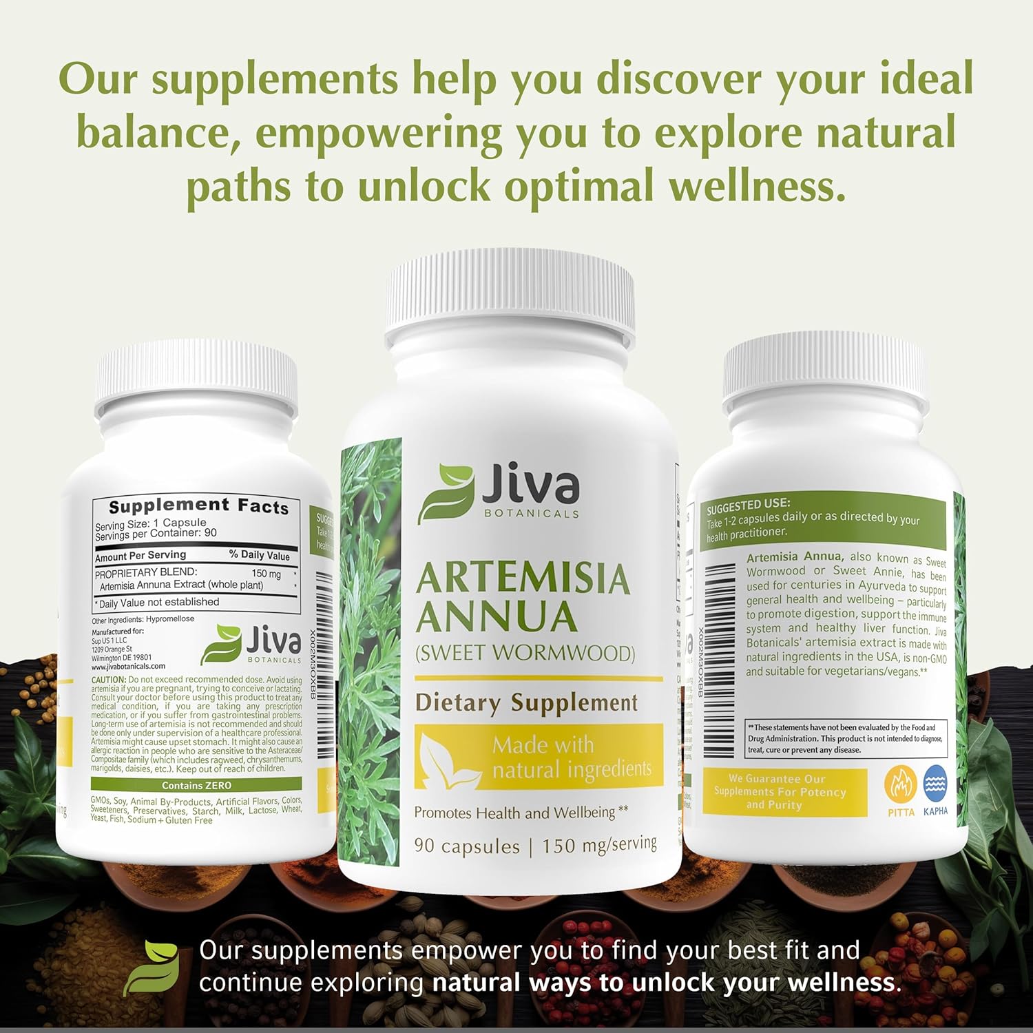 Artemisia Annua Sweet Wormwood Capsules by Jiva Botanicals - Natural Herbal Supplement for Wellness